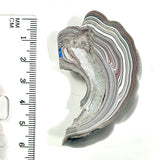 DVH Michigan  Fordite Specimen Polished Face Rough Chv Frd Jp (6272)
