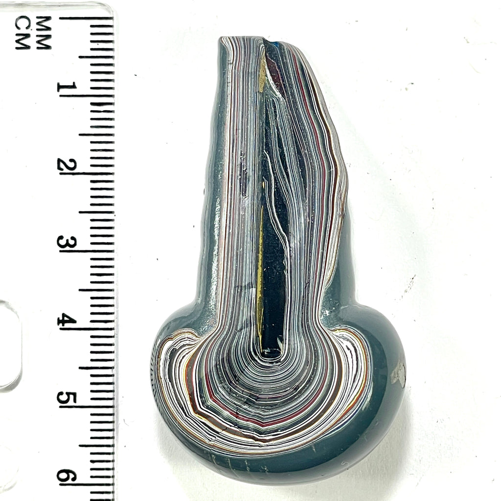 DVH Genuine Michigan Fordite Specimen Polished Face Chv Frd Jp (6293) - DVHdesigns