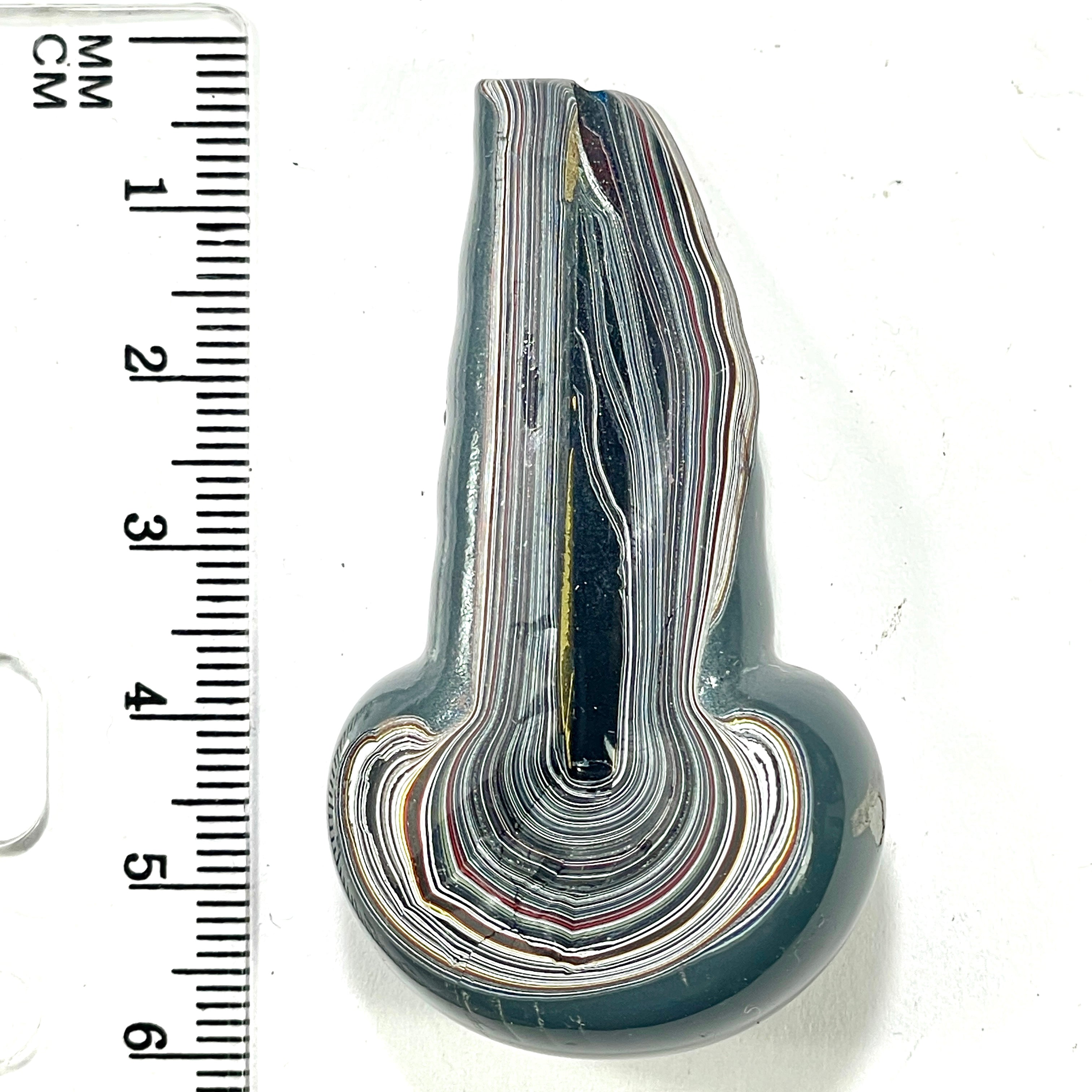 DVH Genuine Michigan Fordite Specimen Polished Face Chv Frd Jp (6293) - DVHdesigns