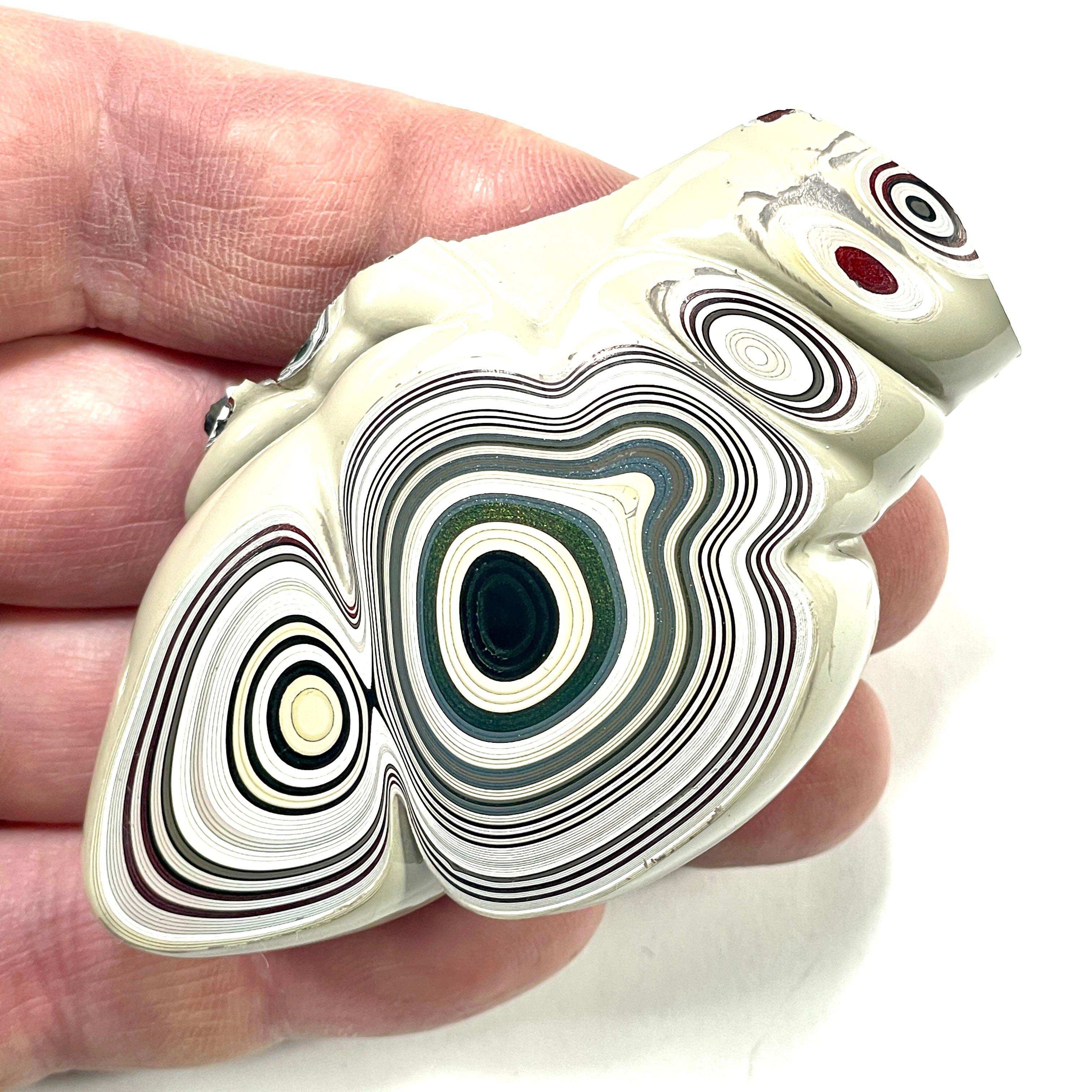 DVH Genuine Michigan Fordite Specimen Polished Face Chv Frd Jp (6294) - DVHdesigns
