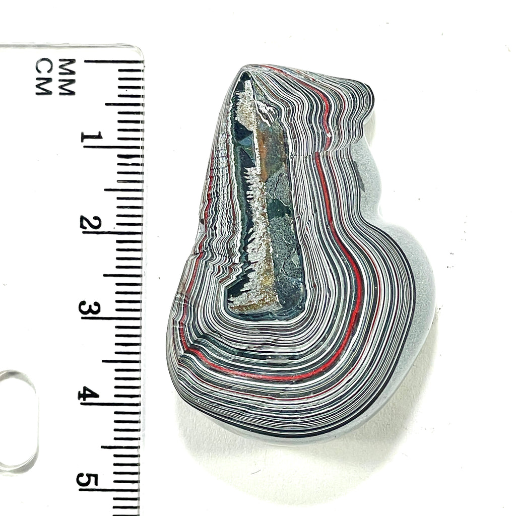 DVH Genuine Michigan Fordite Specimen Polished Face Chv Frd Jp (6295) - DVHdesigns