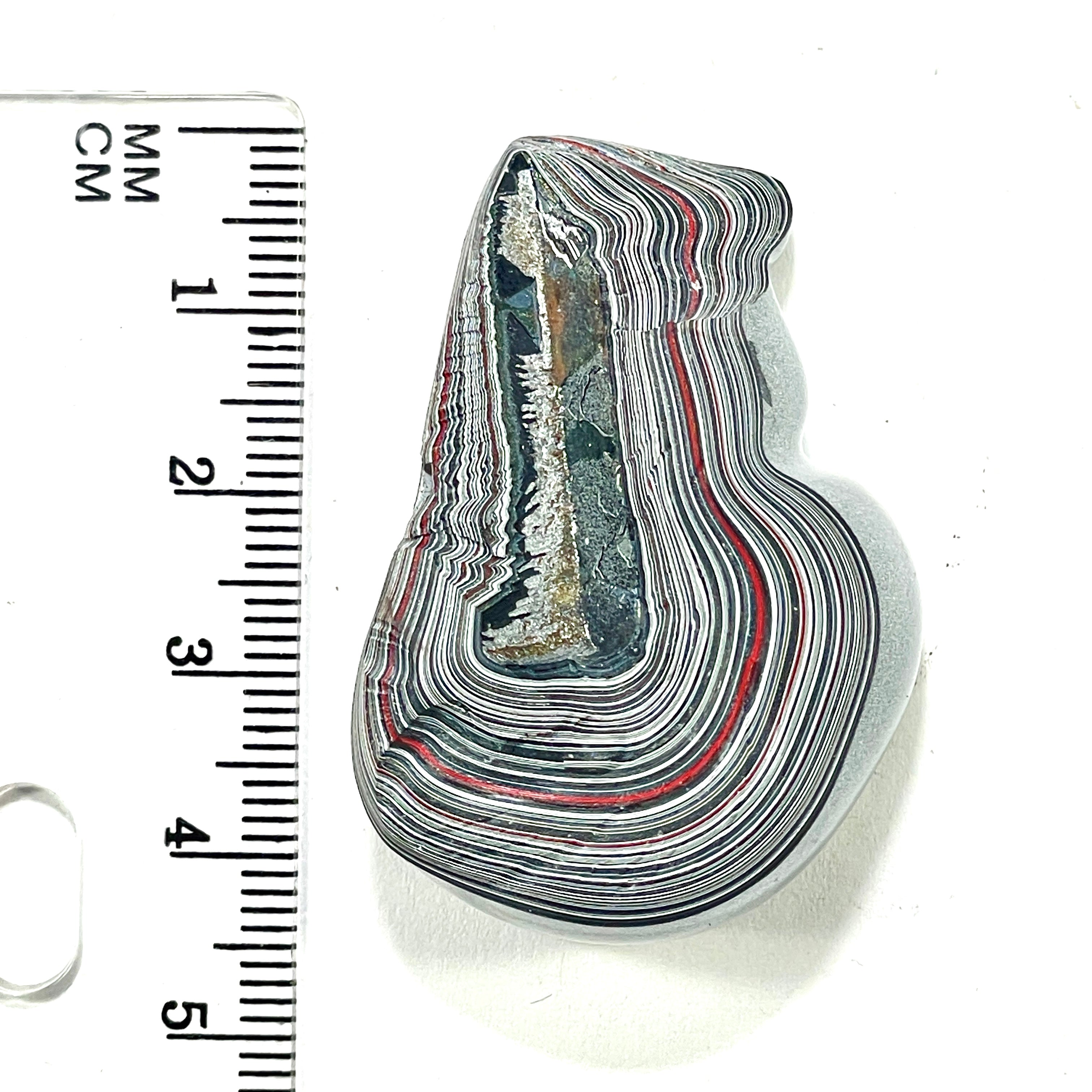 DVH Genuine Michigan Fordite Specimen Polished Face Chv Frd Jp (6295) - DVHdesigns