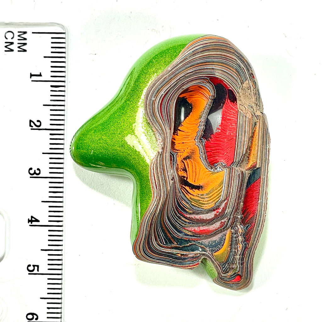 DVH Michigan Jeep Fordite Mojito Green Gator Specimen Polished Face (6302) - DVHdesigns