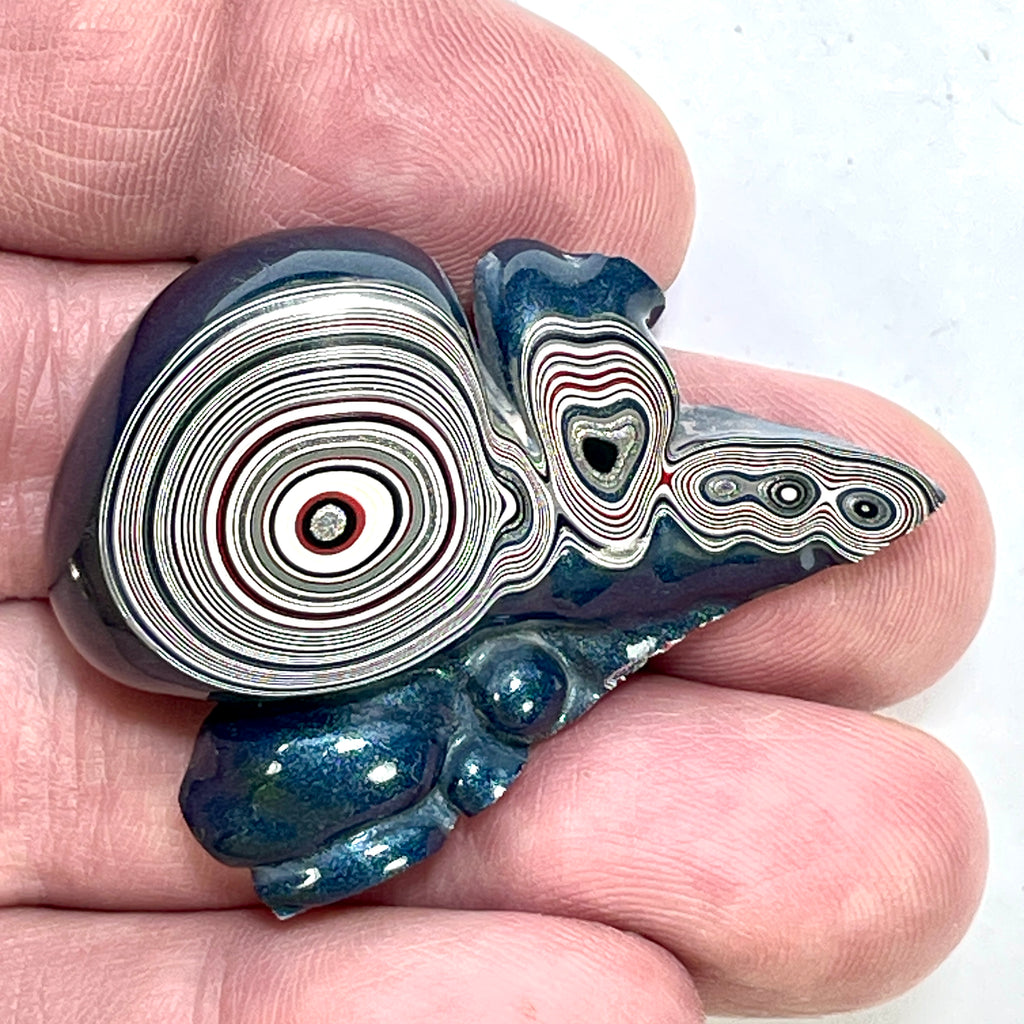 DVH Genuine Michigan Fordite Specimen Polished Face Chv Frd Jp (6332) - DVHdesigns