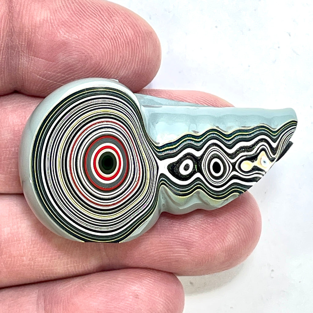 DVH Genuine Michigan Fordite Specimen Polished Face Chv Frd Jp (6333) - DVHdesigns
