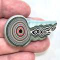DVH Genuine Michigan Fordite Specimen Polished Face Chv Frd Jp (6333) - DVHdesigns