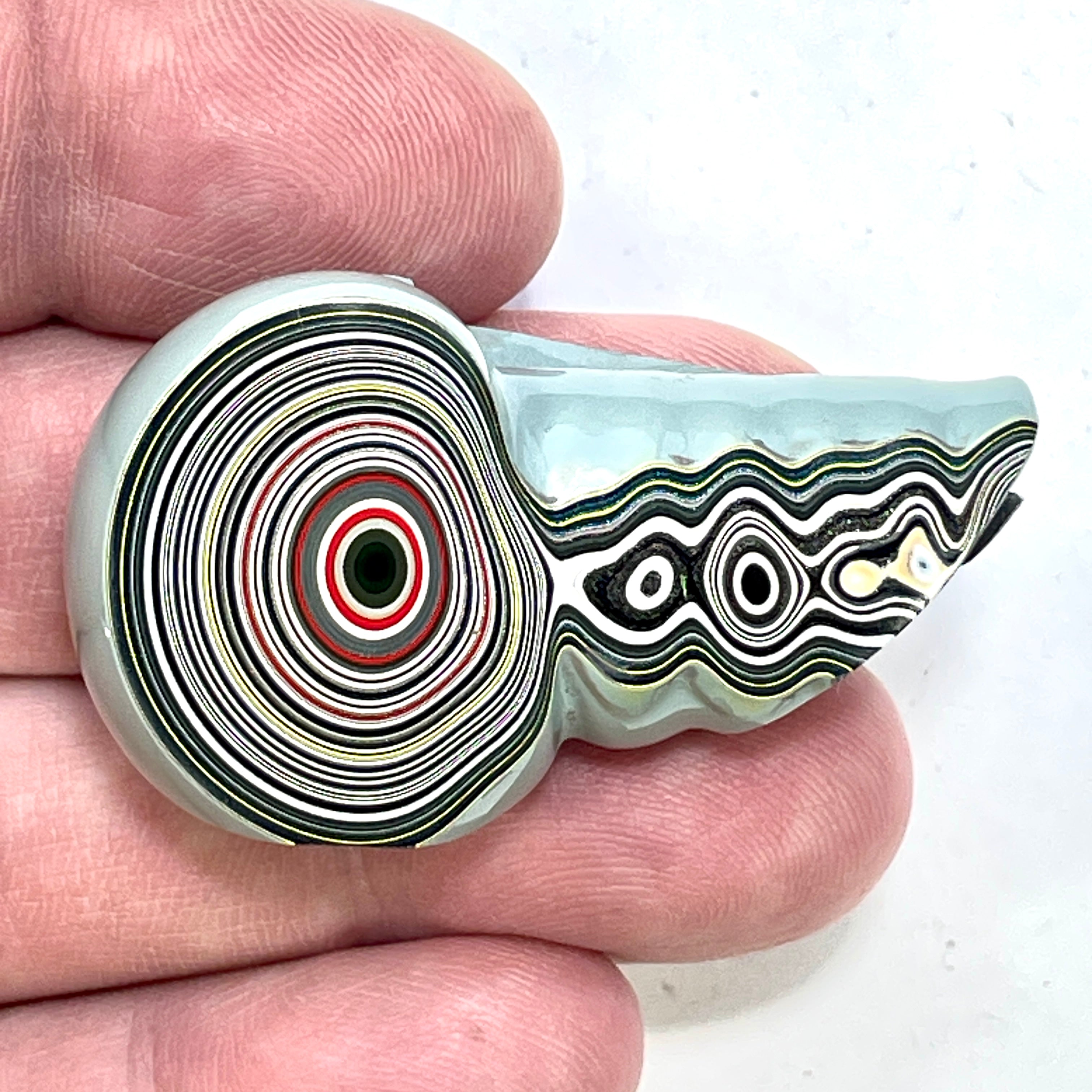 DVH Genuine Michigan Fordite Specimen Polished Face Chv Frd Jp (6333) - DVHdesigns