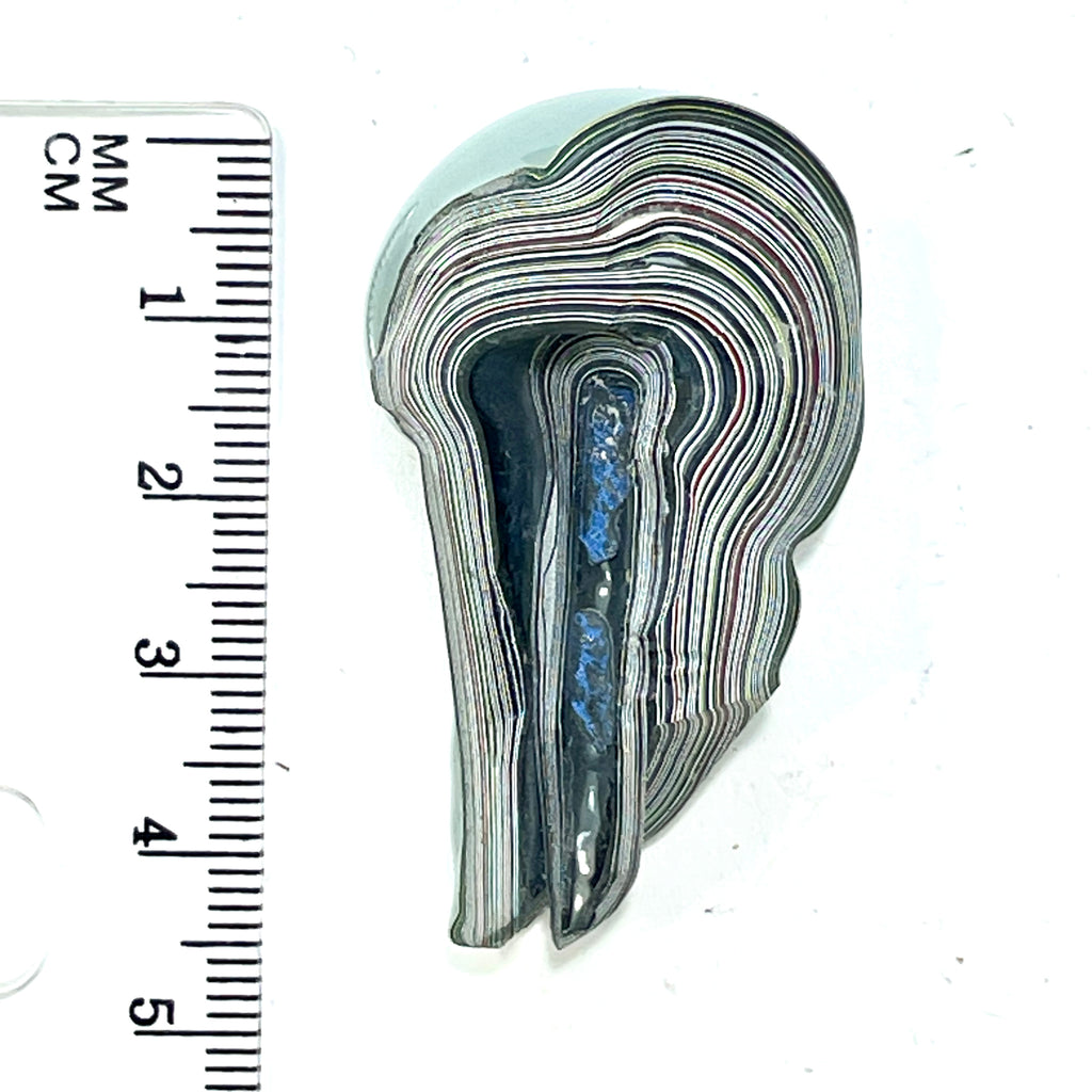 DVH Genuine Michigan Fordite Specimen Polished Face Chv Frd Jp (6333) - DVHdesigns