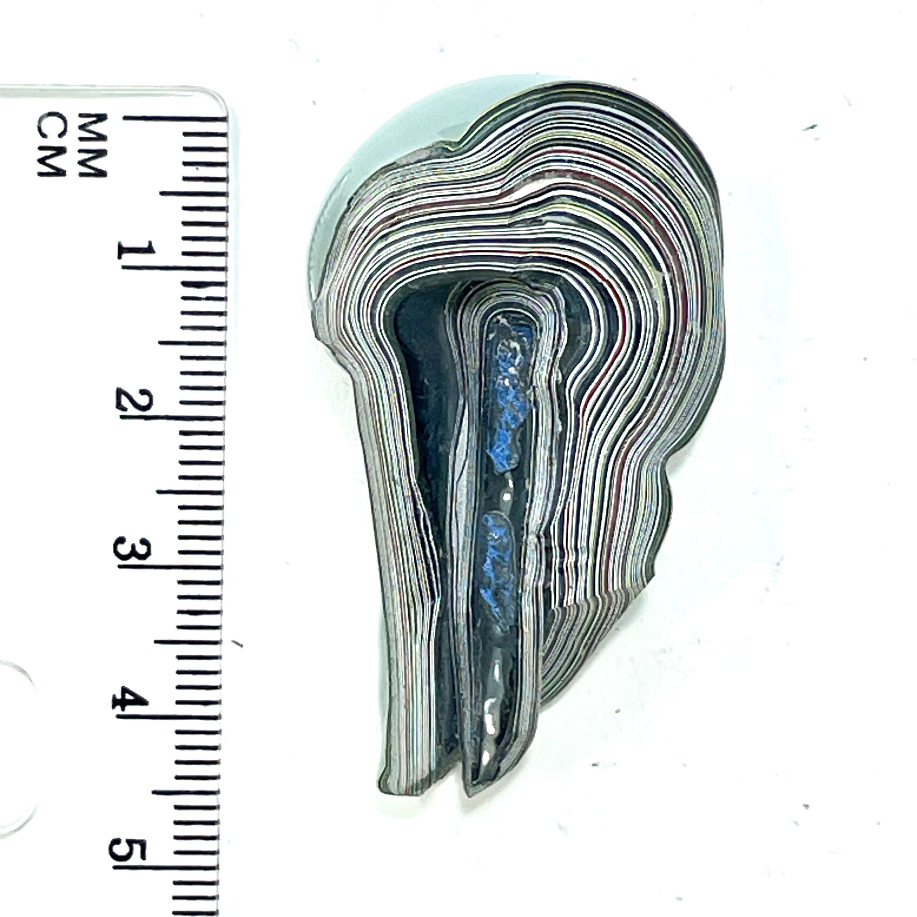 DVH Genuine Michigan Fordite Specimen Polished Face Chv Frd Jp (6333) - DVHdesigns