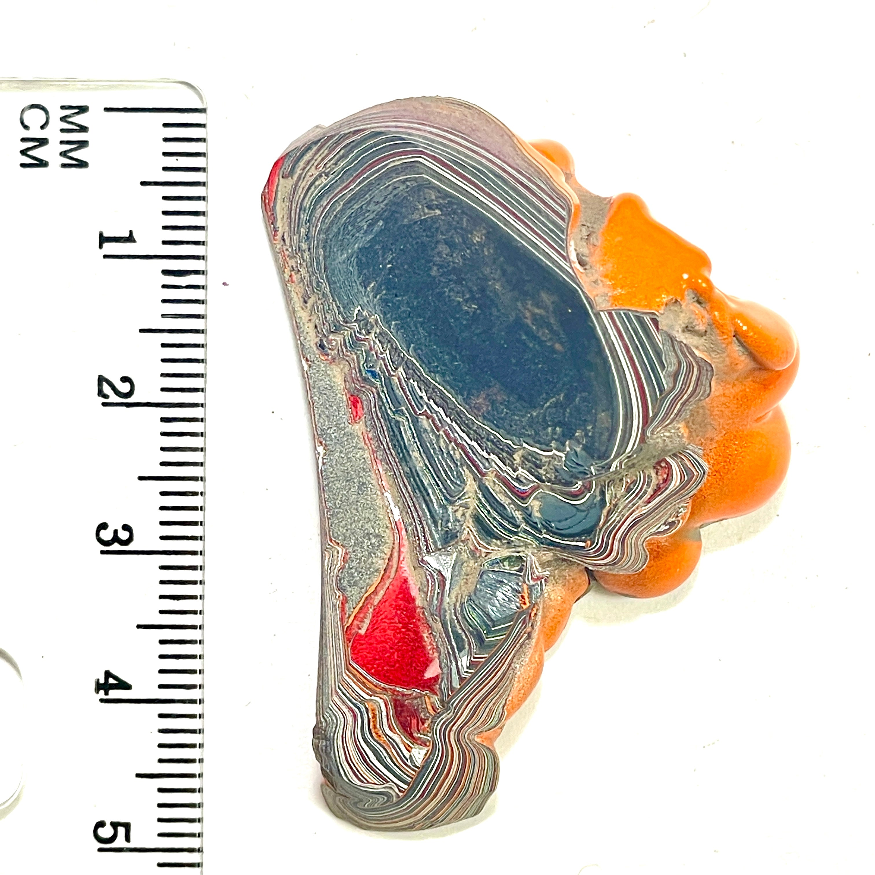 DVH Michigan Jeep Fordite Joose Orange Specimen Polished Face (6335) - DVHdesigns