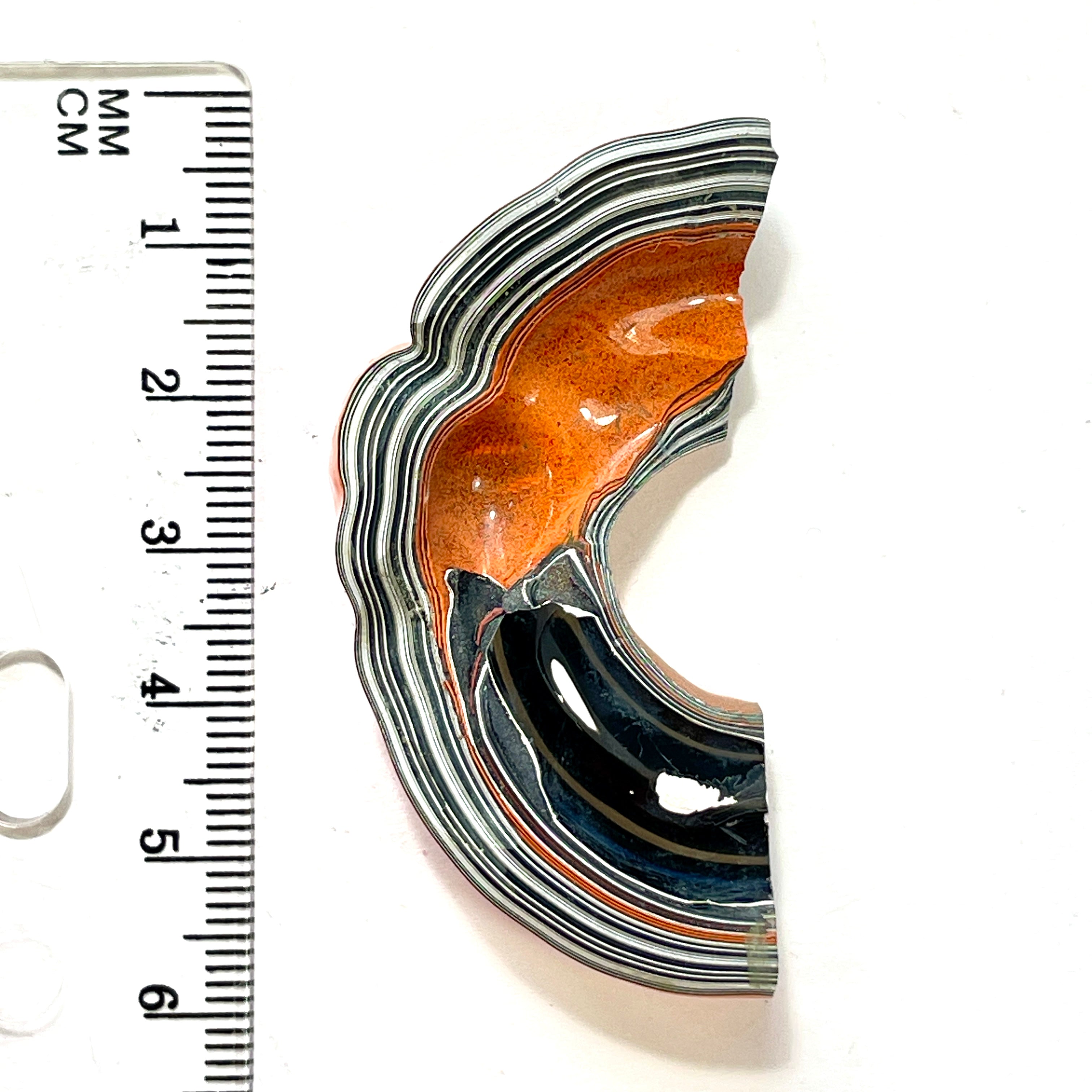 DVH Fordite Specimen Polished Face Joose Orange Michigan Jeep (6388) - DVHdesigns