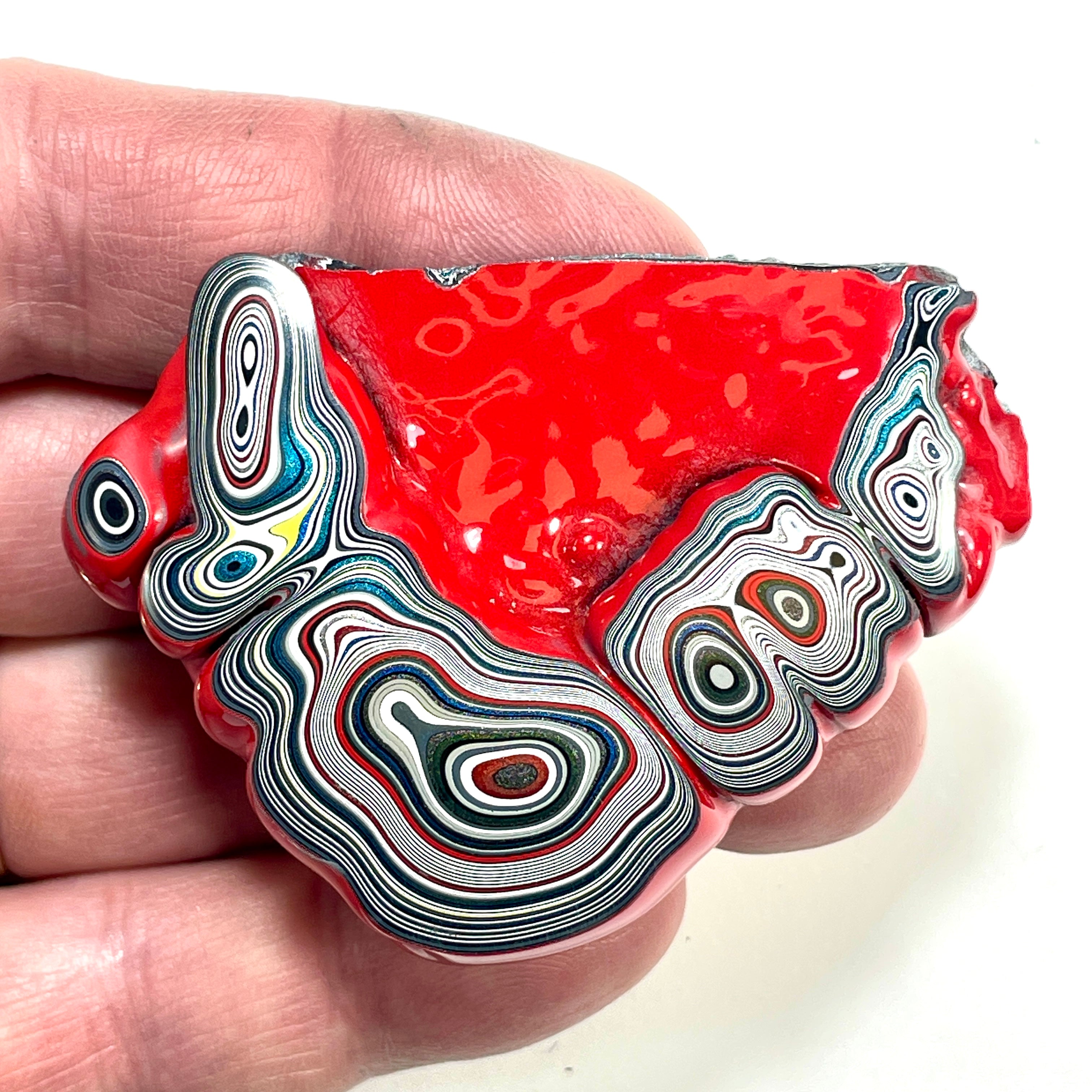 DVH Fordite Specimen Polished Face Michigan Chv Frd Jp (6427)
