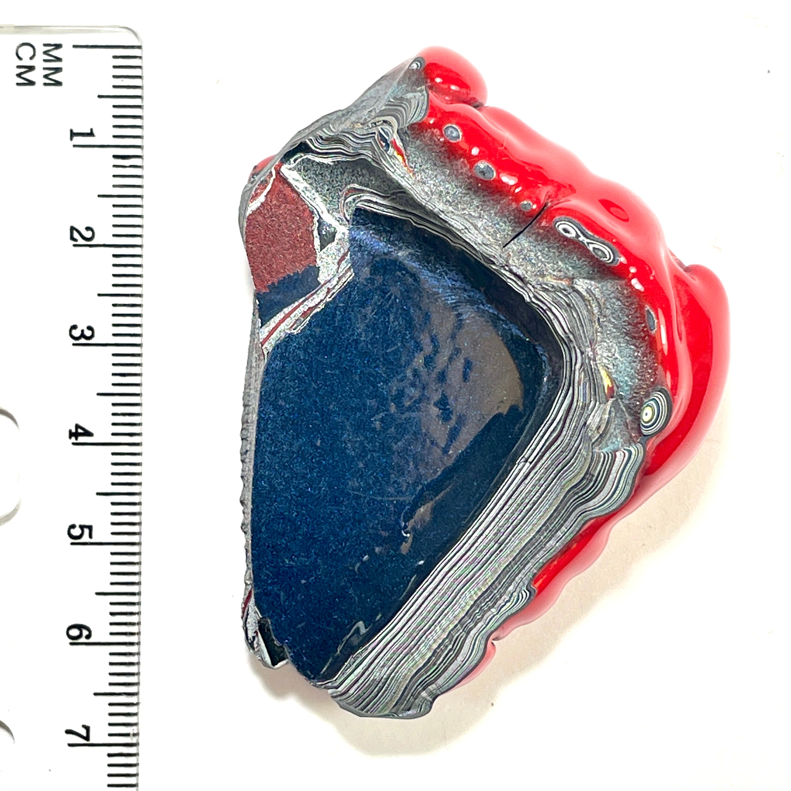 DVH Fordite Specimen Polished Face Michigan Chv Frd Jp (6427)