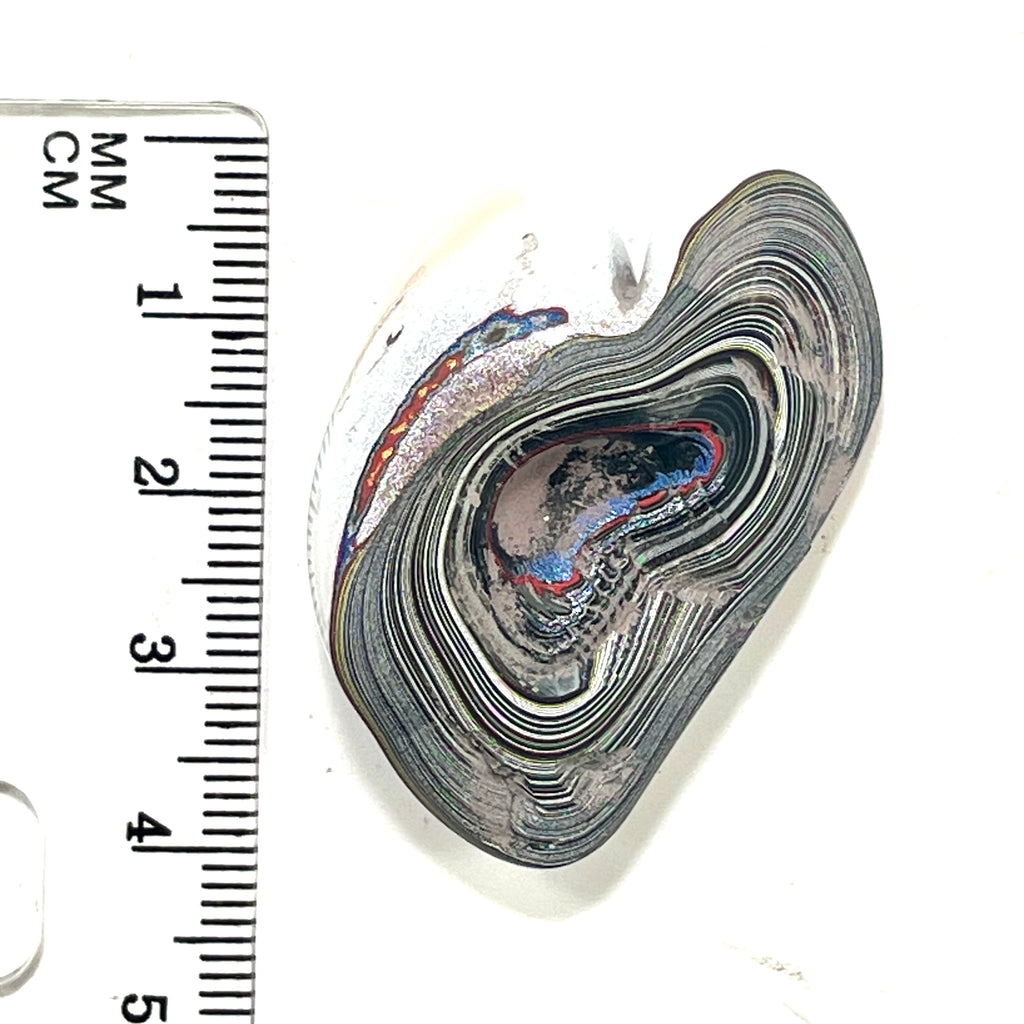 DVH Fordite Specimen Polished Face Michigan Chv Frd Jp (6429)
