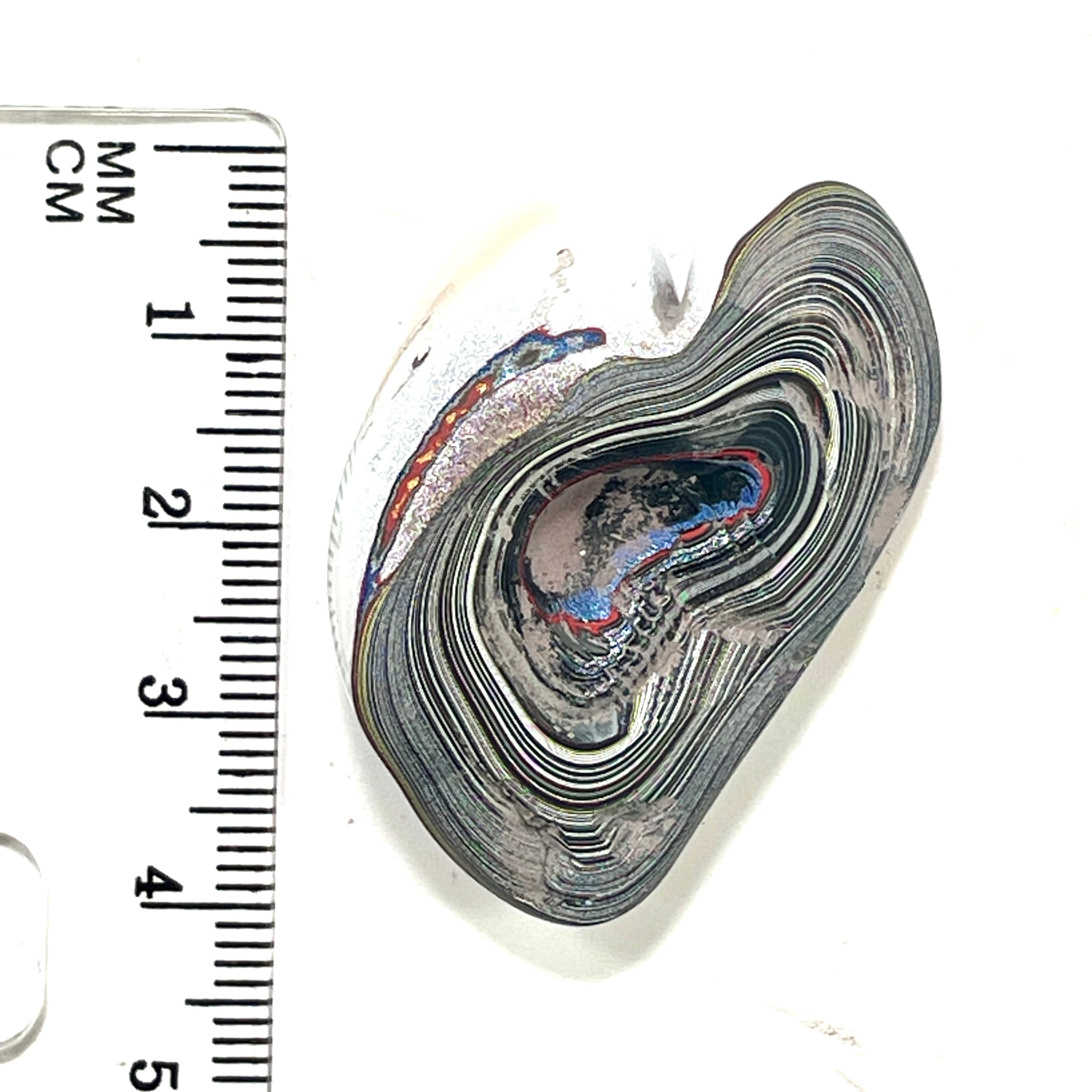 DVH Fordite Specimen Polished Face Michigan Chv Frd Jp (6429)