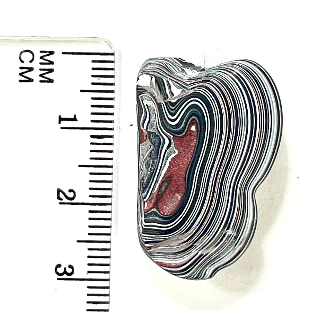 DVH Fordite Specimen Polished Face Michigan Chv Frd Jp (6432) - DVHdesigns