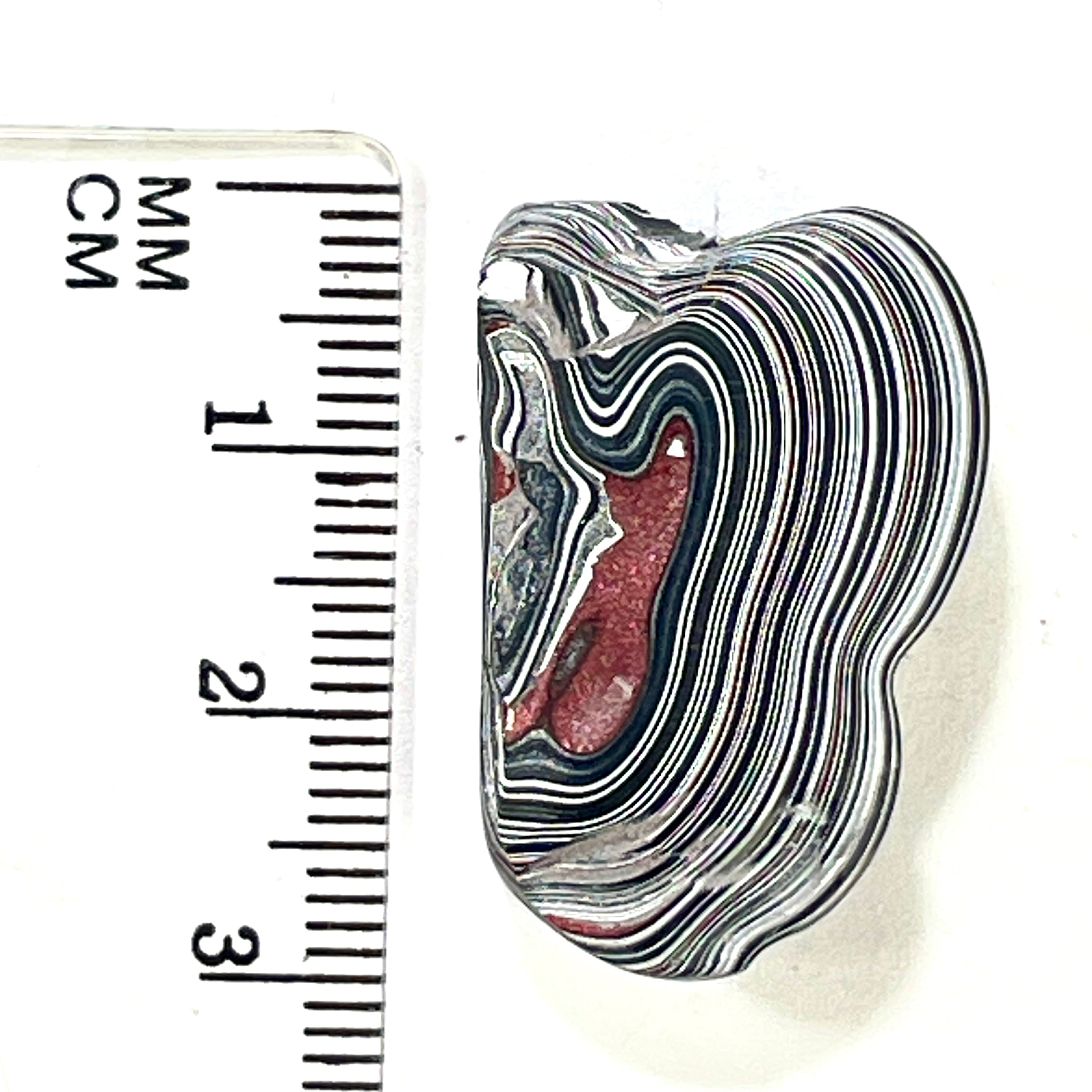 DVH Fordite Specimen Polished Face Michigan Chv Frd Jp (6432) - DVHdesigns