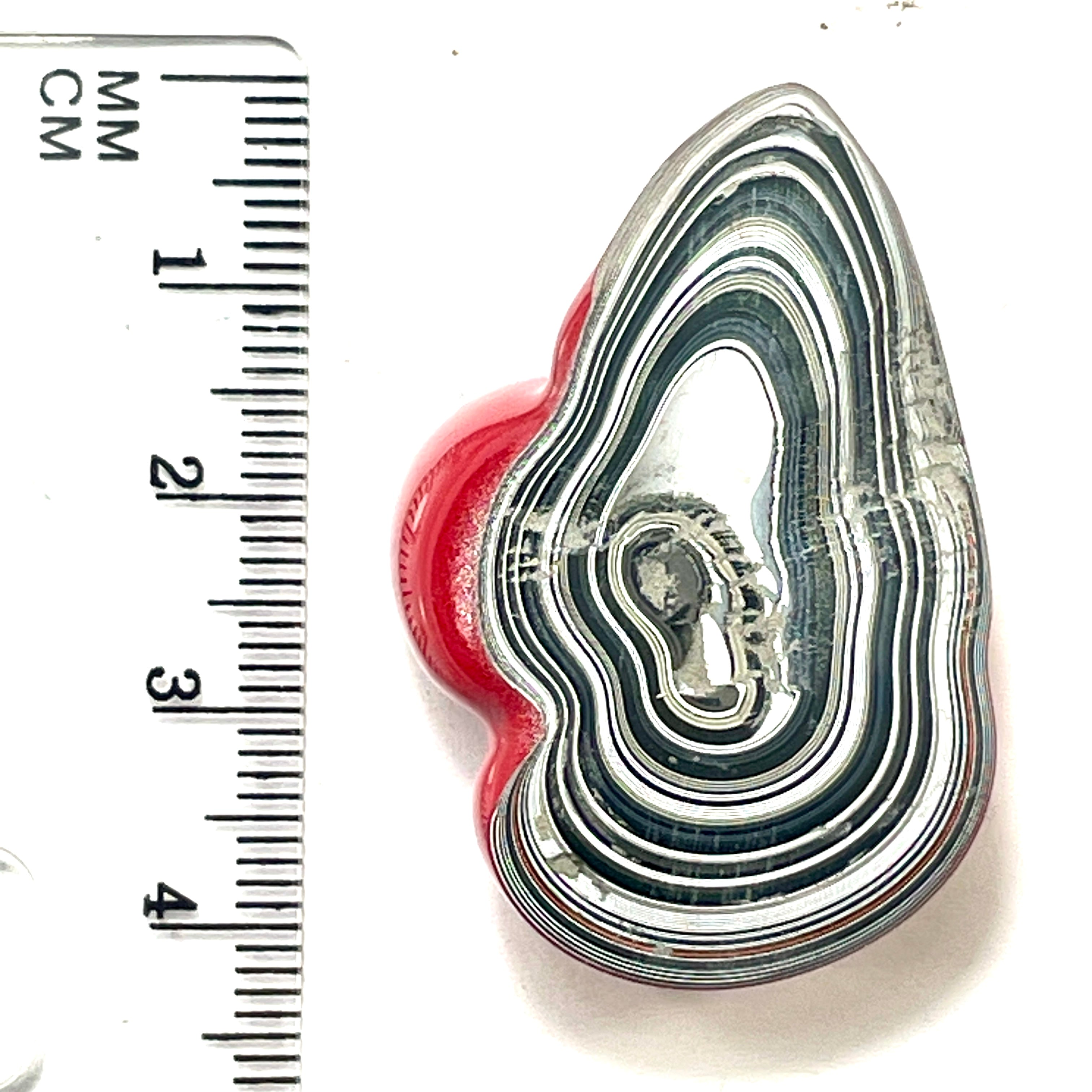 DVH Fordite Specimen Red Polished Face Michigan Chv Frd Jp (6468) - DVHdesigns