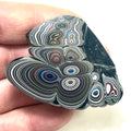 DVH Fordite Specimen Polished Face Michigan Chv Frd Jp (6469)