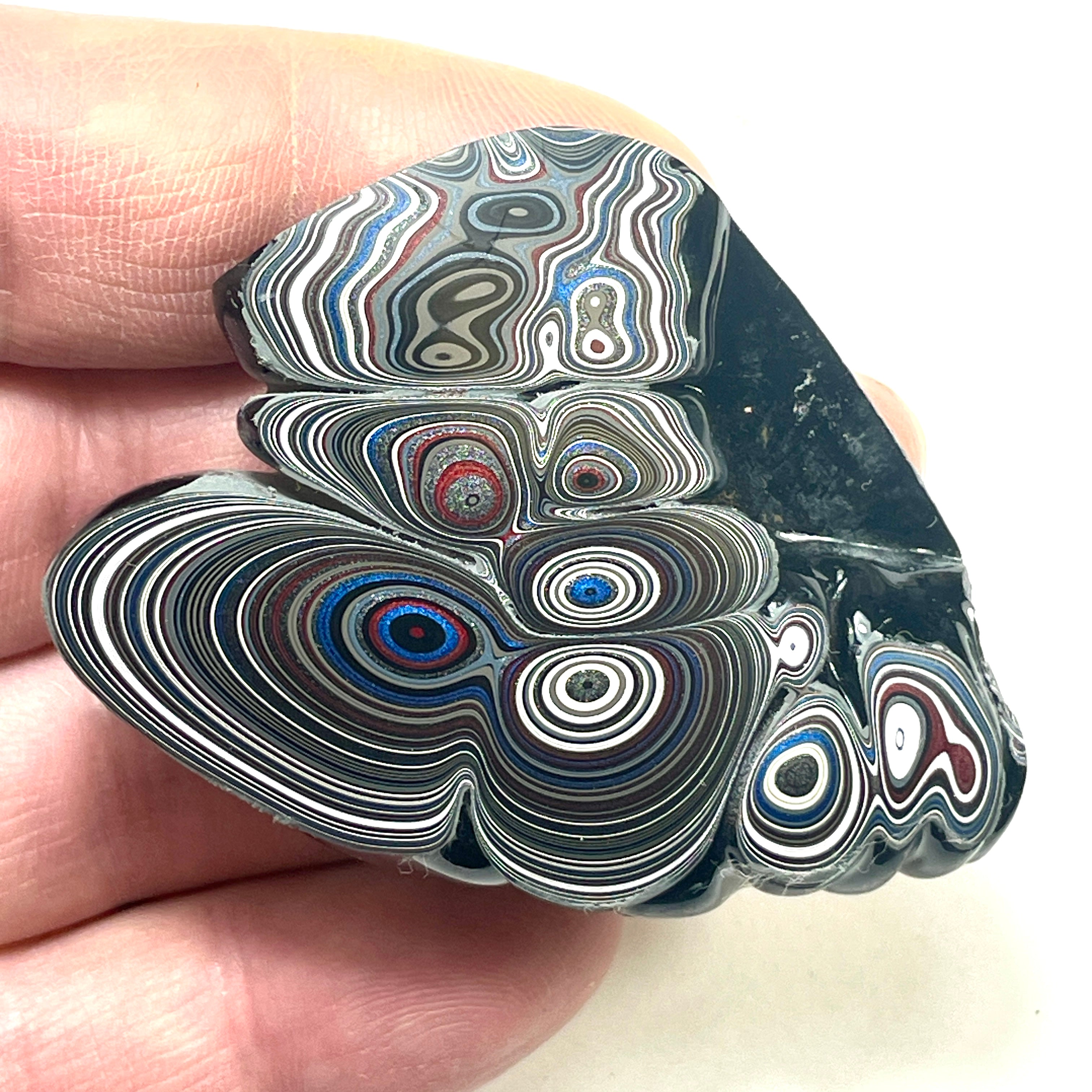 DVH Fordite Specimen Polished Face Michigan Chv Frd Jp (6469)