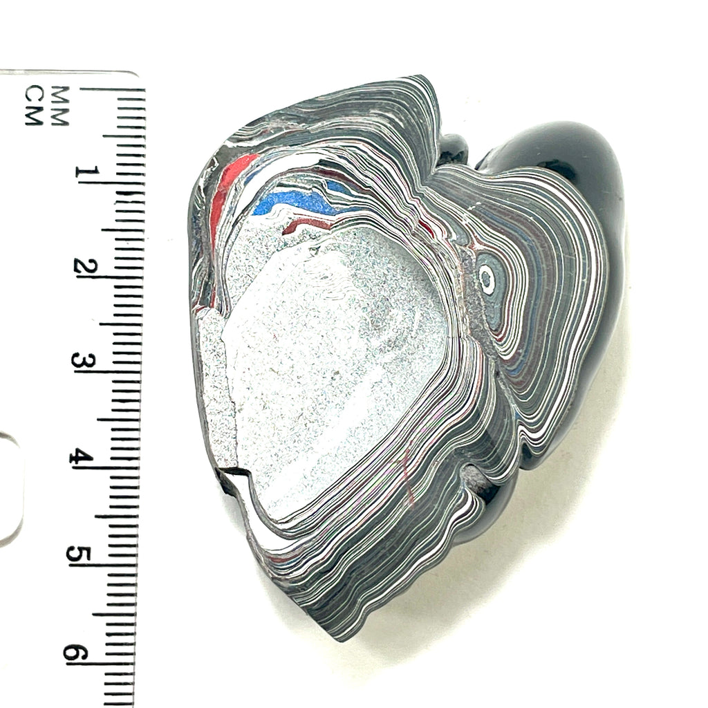 DVH Fordite Specimen Polished Face Michigan Chv Frd Jp (6469)