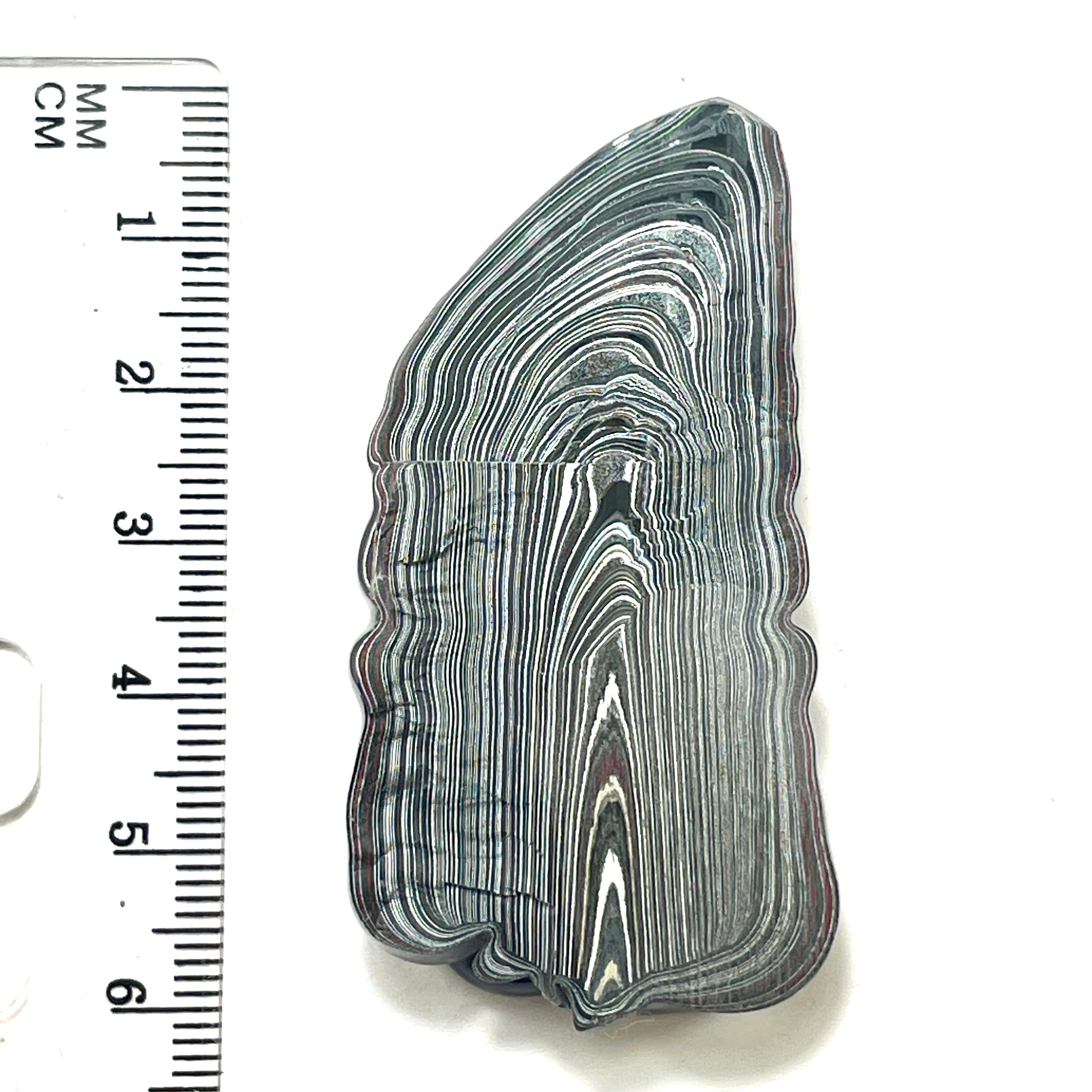 DVH Fordite Specimen Purple Reign Polished Face Michigan Jp (6471) - DVHdesigns