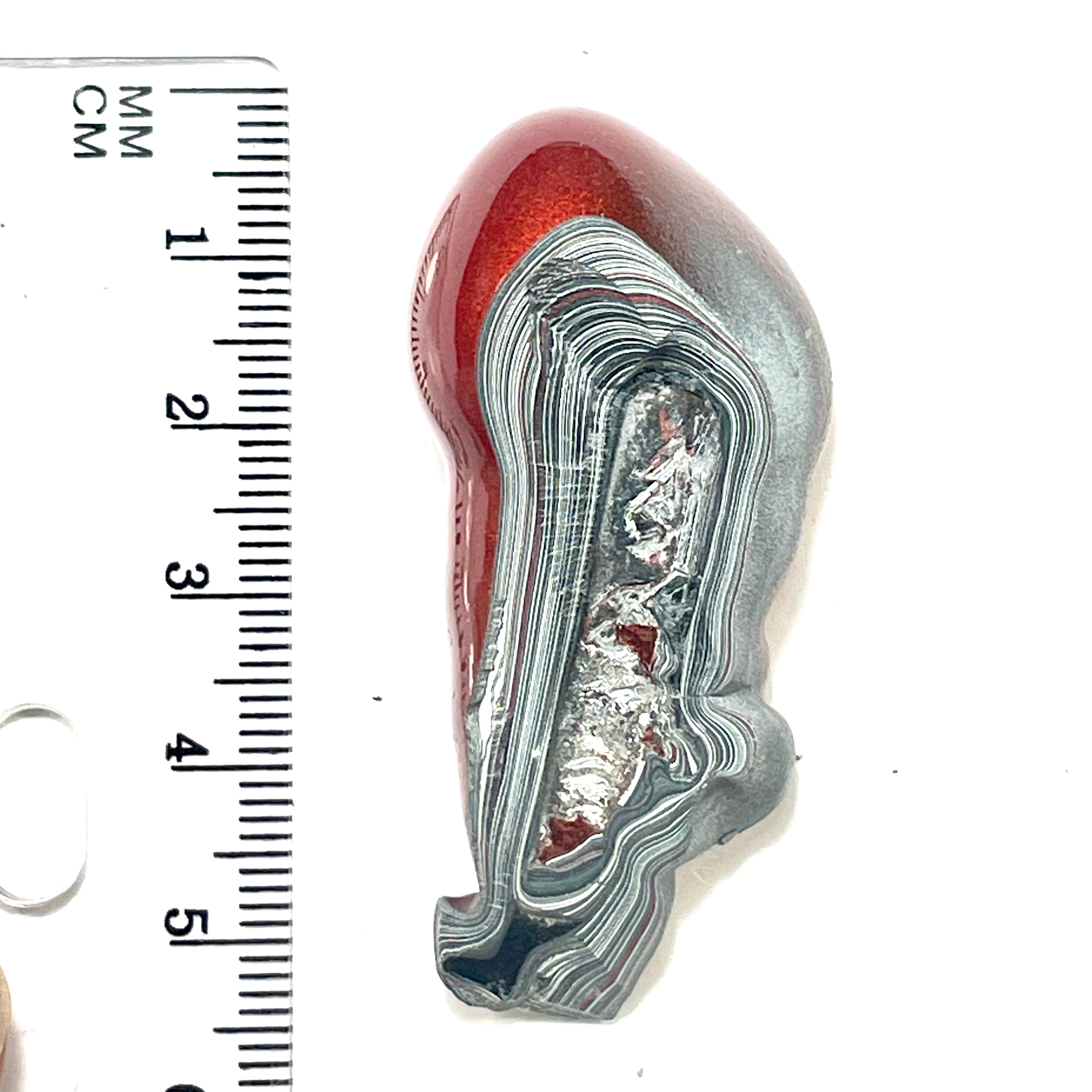 DVH Fordite Specimen Polished Face Michigan Chv Frd Jp (6473) - DVHdesigns