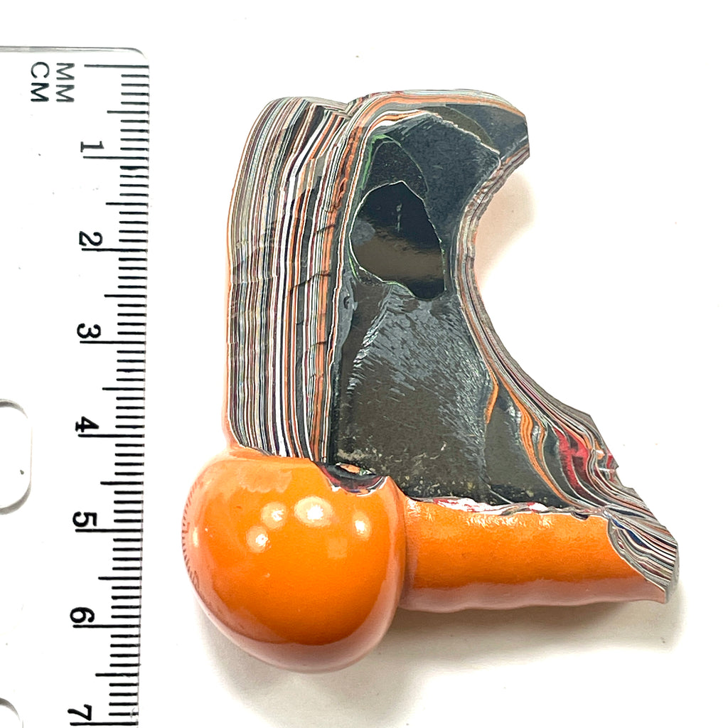 DVH Fordite Specimen Joose Orange Polished Face Michigan Jp (6474)
