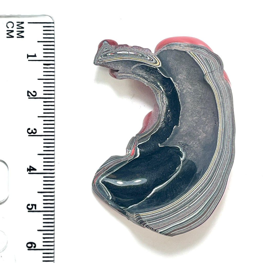 DVH Fordite Specimen Red Polished Face Michigan Chv Frd Jp (6479)