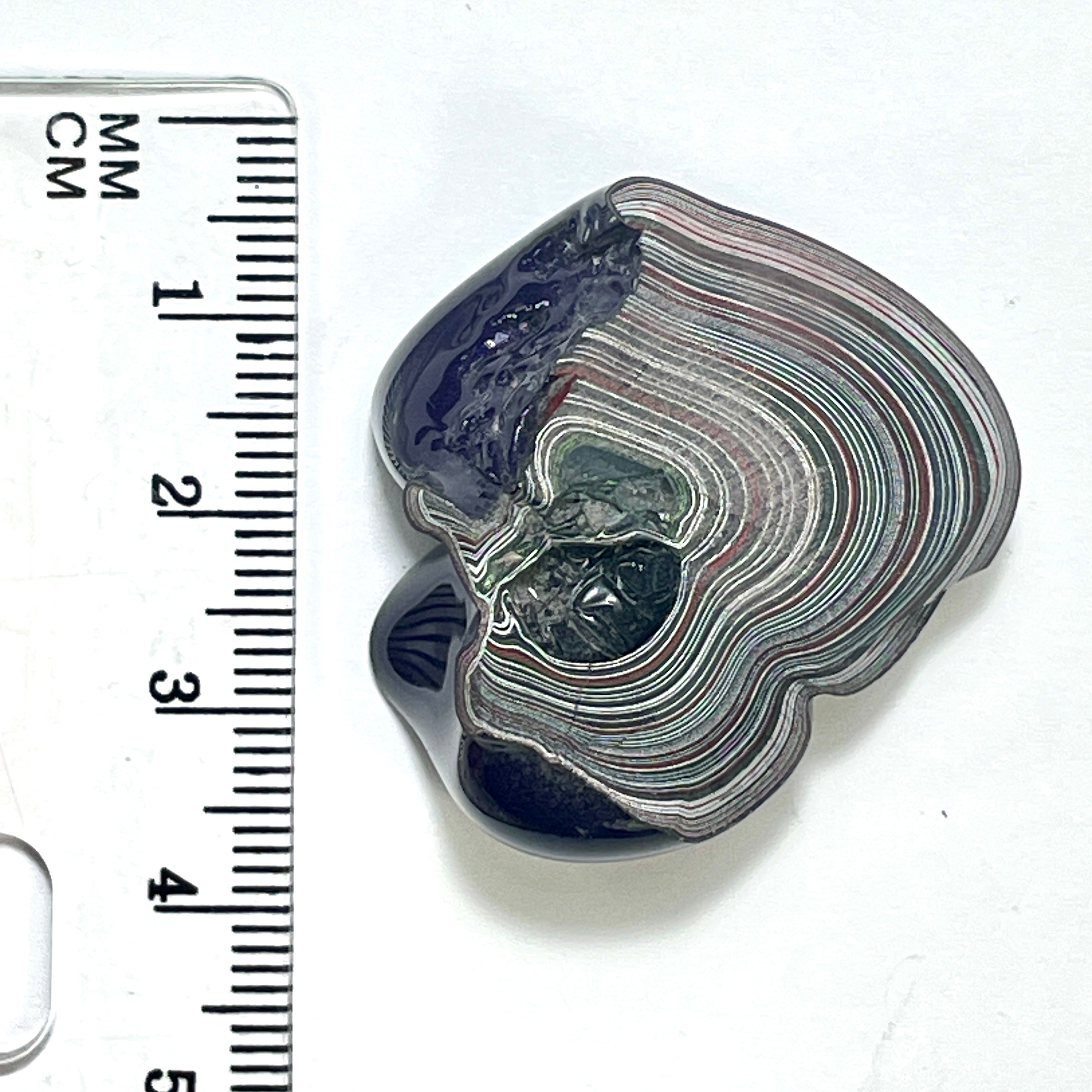 DVH Fordite Specimen Purple Reign Polished Face Michigan Jp (6480) - DVHdesigns