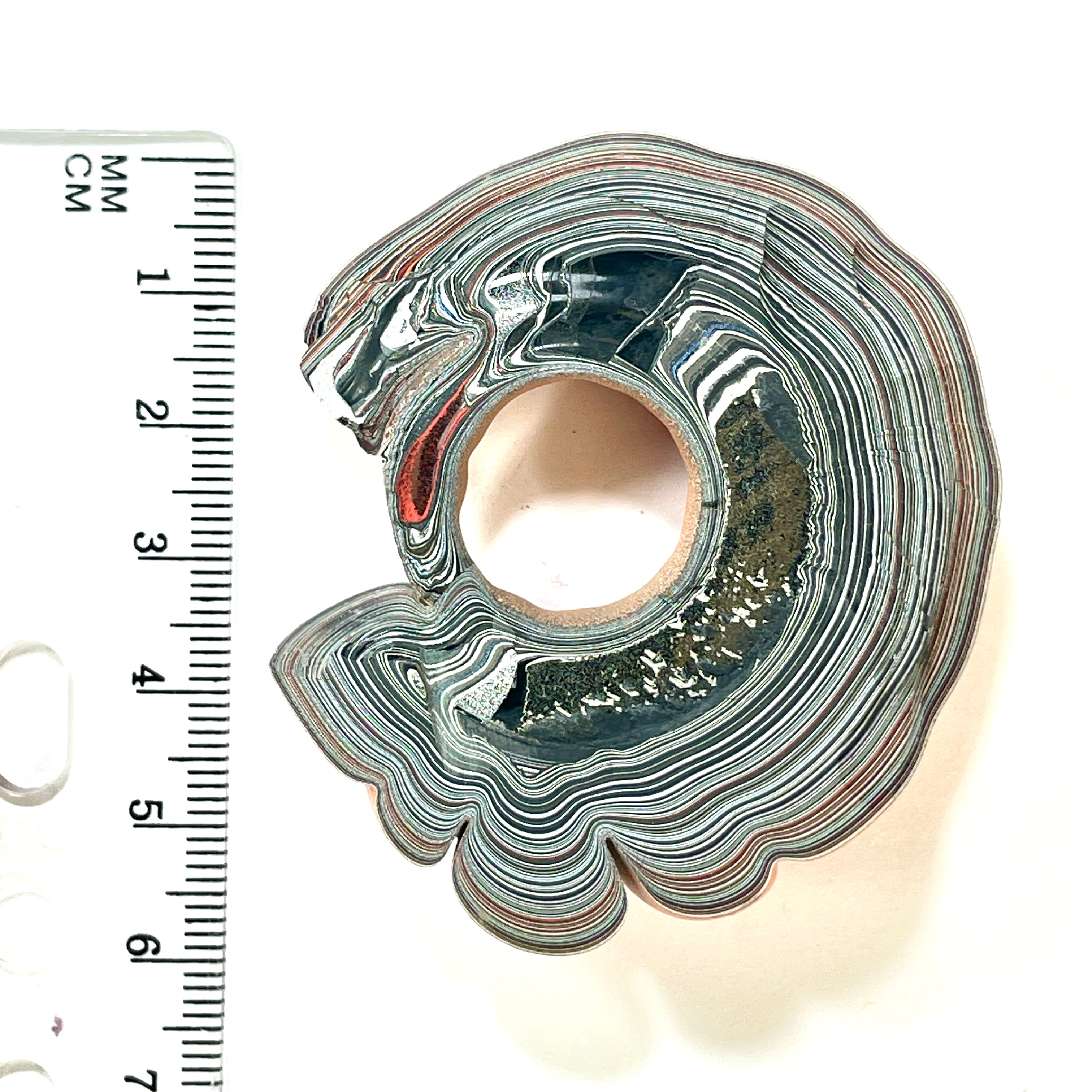 DVH Fordite Specimen Joose Orange Donut Buck Hole Polished Face Michigan Jp (6485) - DVHdesigns