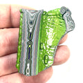 DVH Fordite Specimen Mojito Green Polished Face Michigan Jp (6486)