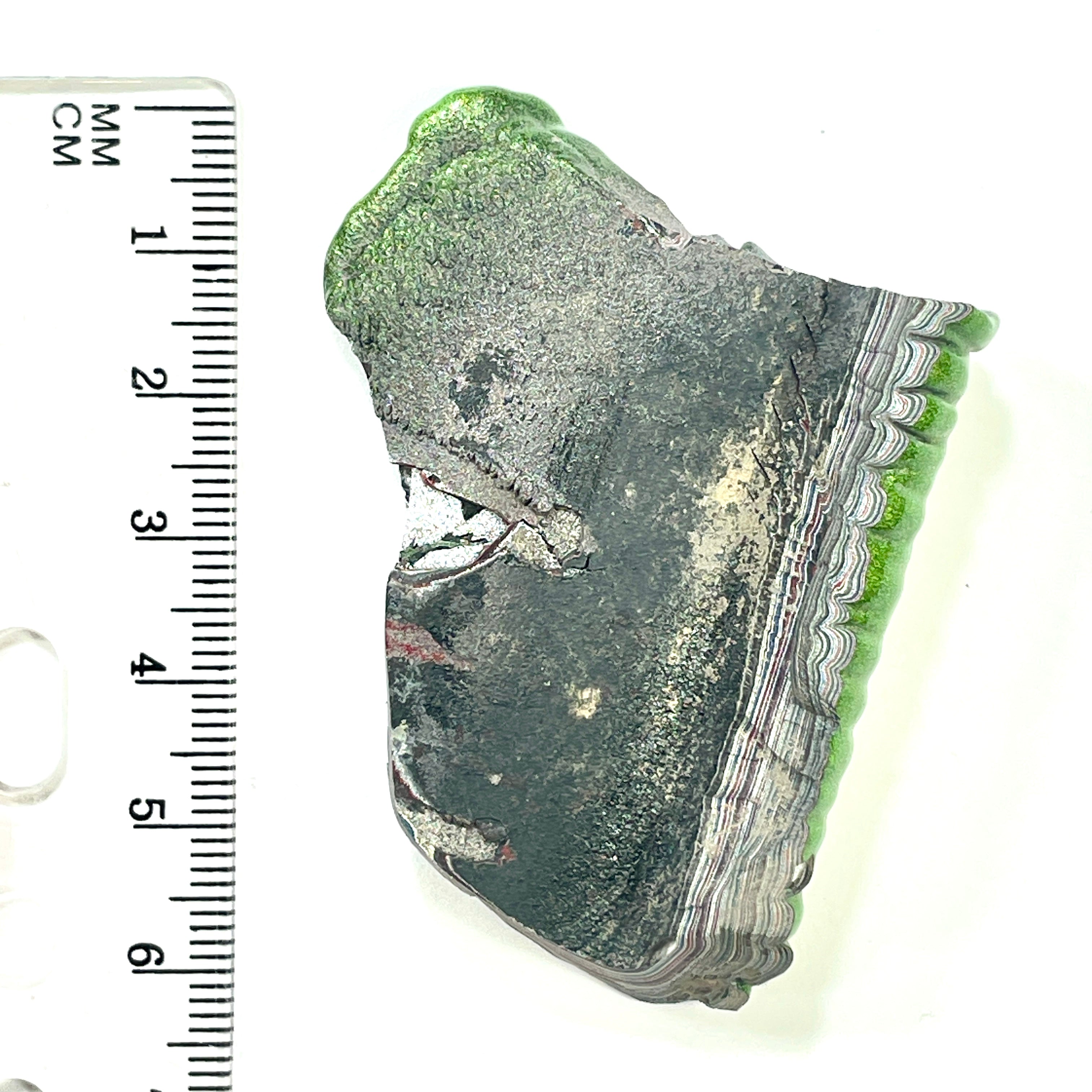 DVH Fordite Specimen Mojito Green Polished Face Michigan Jp (6486)