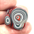 DVH Fordite Specimen Polished Face Michigan Chv Frd Jp (6487)