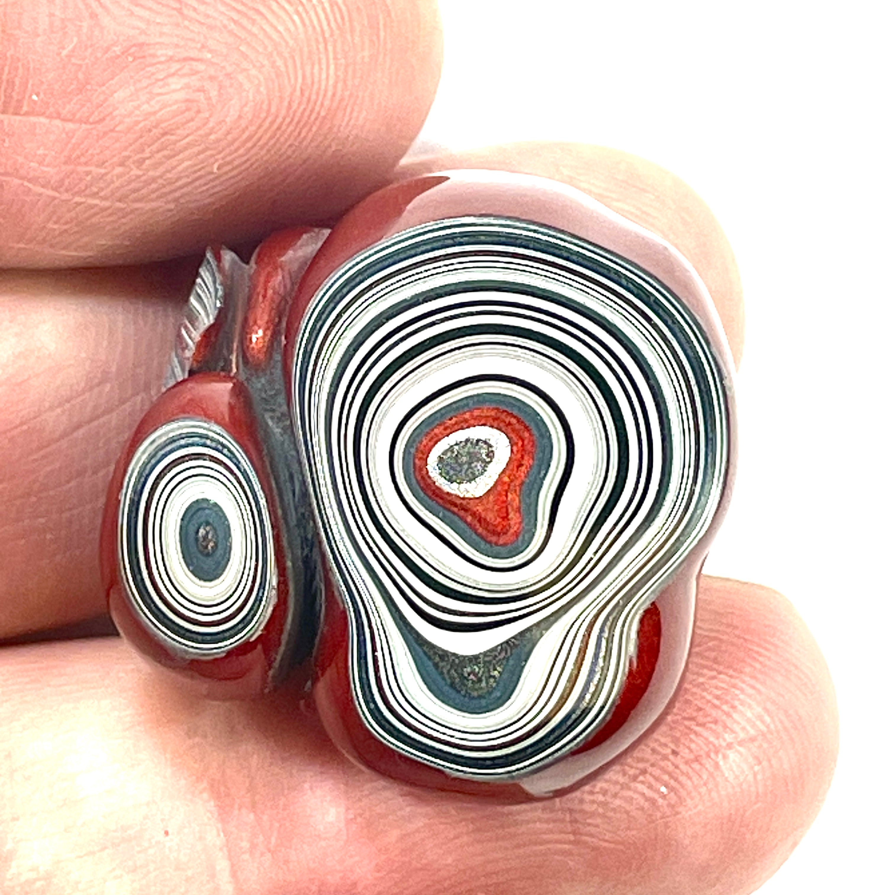 DVH Fordite Specimen Polished Face Michigan Chv Frd Jp (6487)