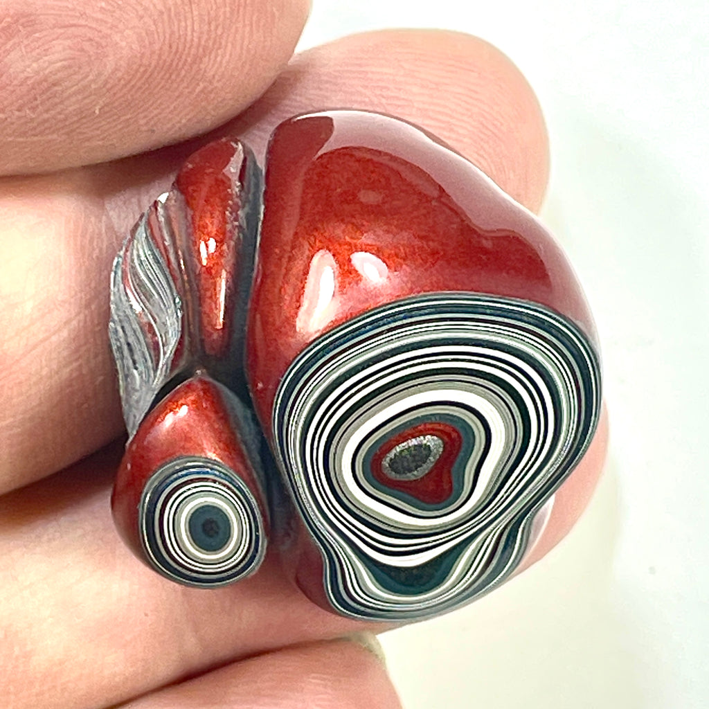 DVH Fordite Specimen Polished Face Michigan Chv Frd Jp (6487)
