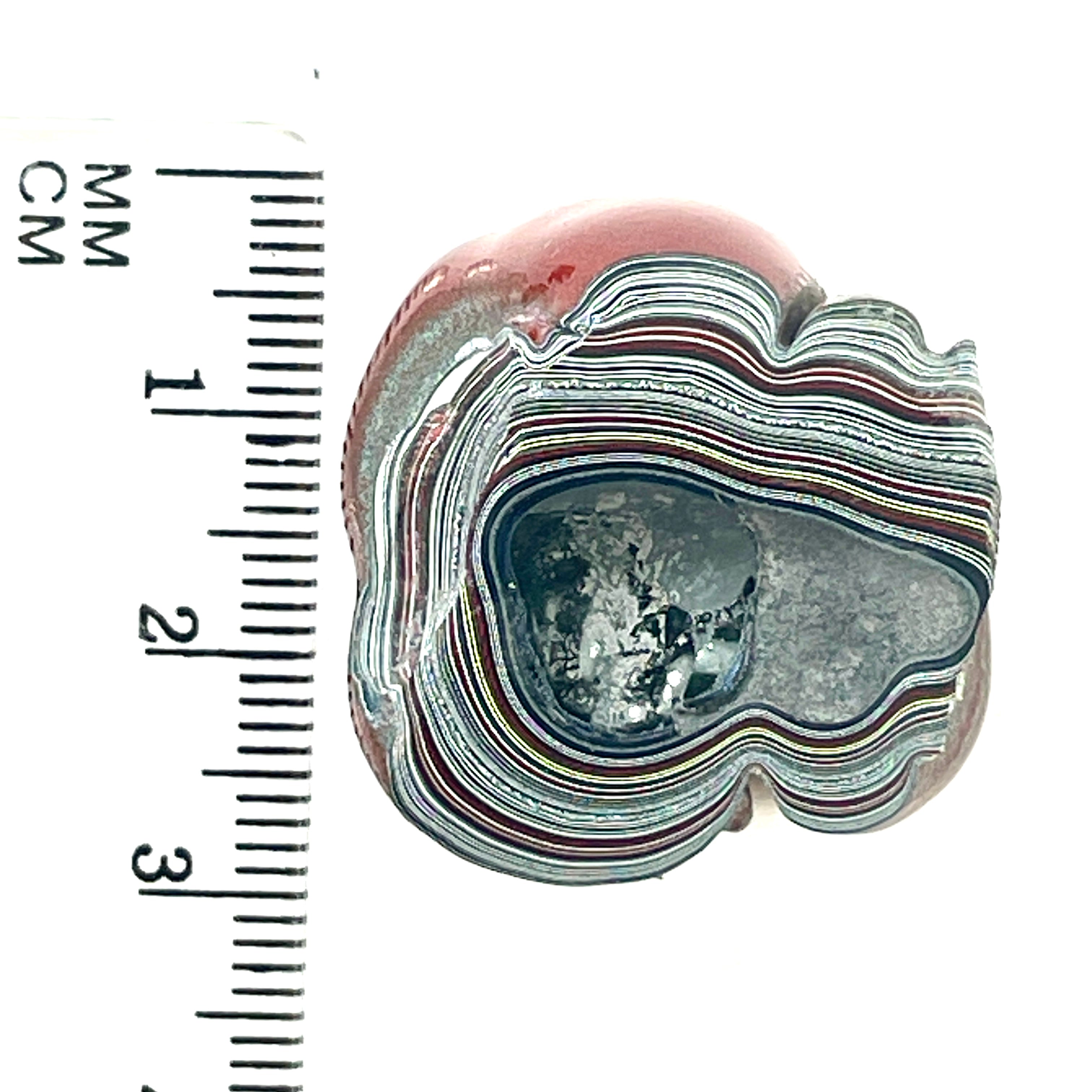DVH Fordite Specimen Polished Face Michigan Chv Frd Jp (6487)