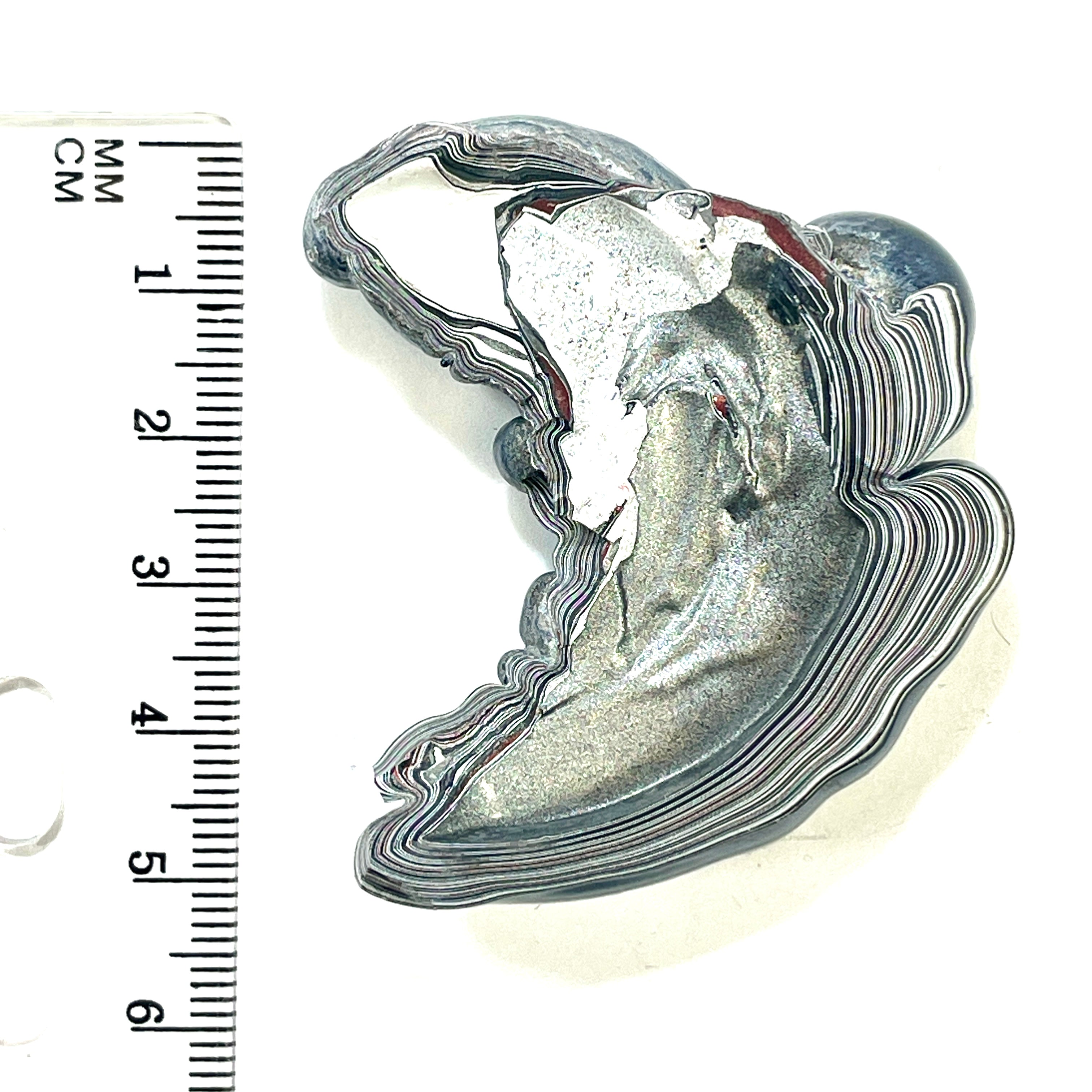 DVH Fordite Specimen Polished Face Michigan Chv Frd Jp (6490)