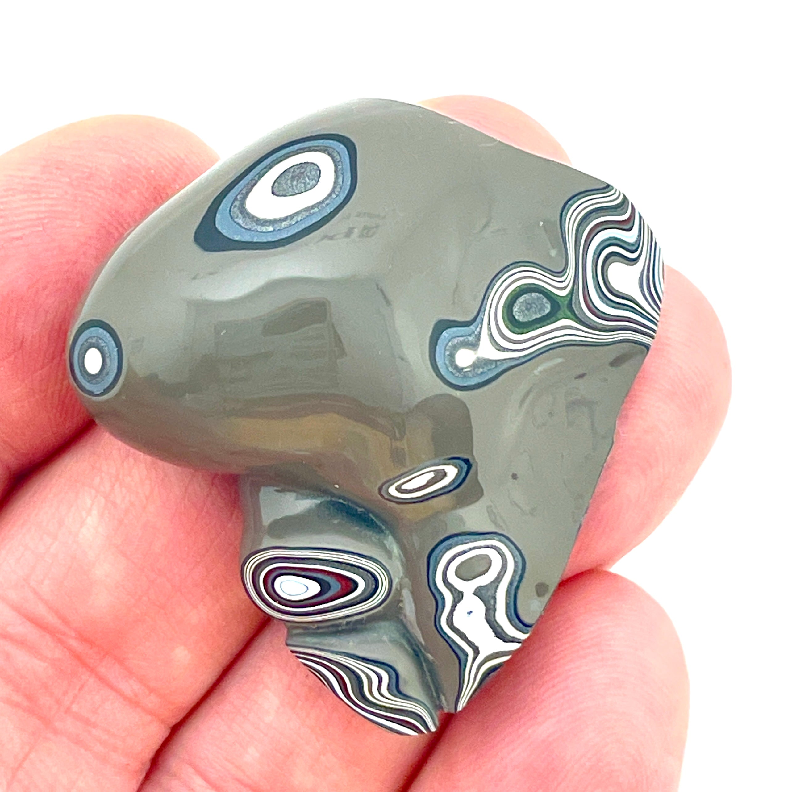 DVH Fordite Mouse Head Specimen Polished Face Michigan Chv Frd Jp (6517) - DVHdesigns