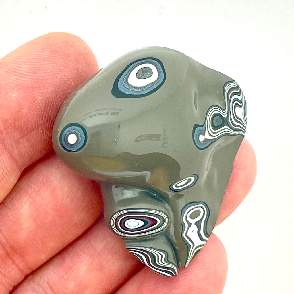 DVH Fordite Mouse Head Specimen Polished Face Michigan Chv Frd Jp (6517)