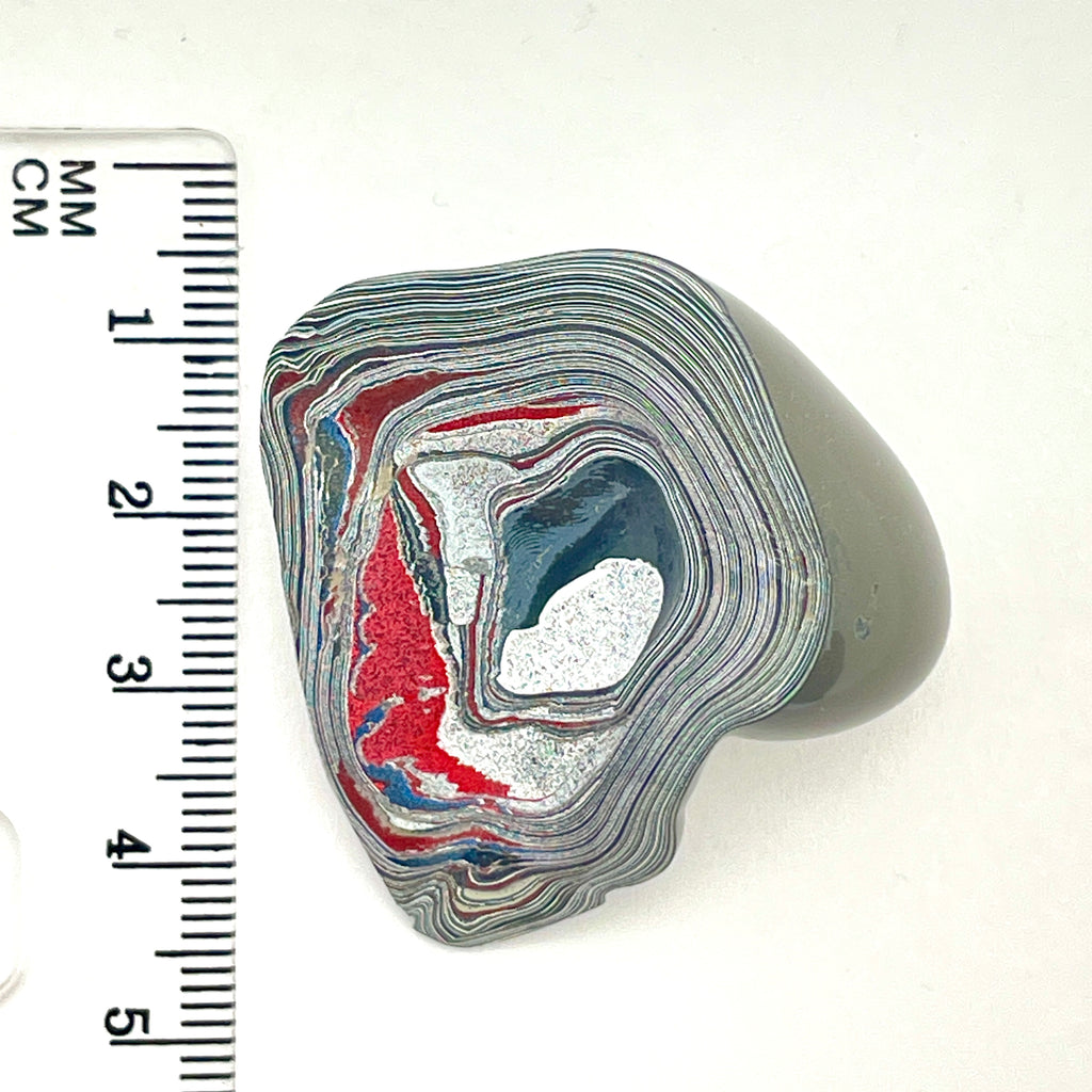 DVH Fordite Mouse Head Specimen Polished Face Michigan Chv Frd Jp (6517) - DVHdesigns