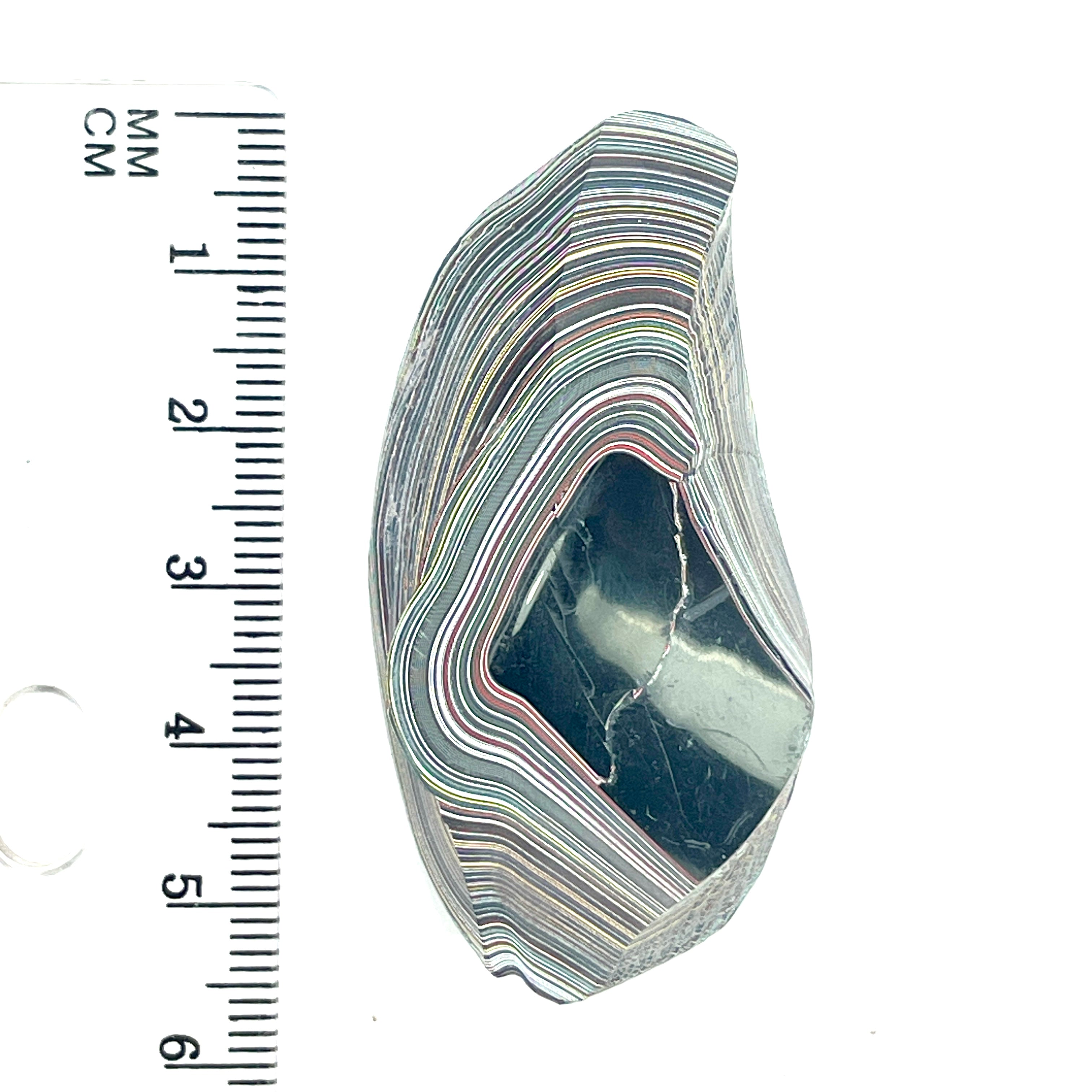 DVH Jeep Fordite Bikini Pearl Blue Specimen Polished Face Michigan (6519) - DVHdesigns