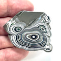DVH Genuine Fordite Specimen Polished Face Michigan Chv Frd Jp (6526) - DVHdesigns