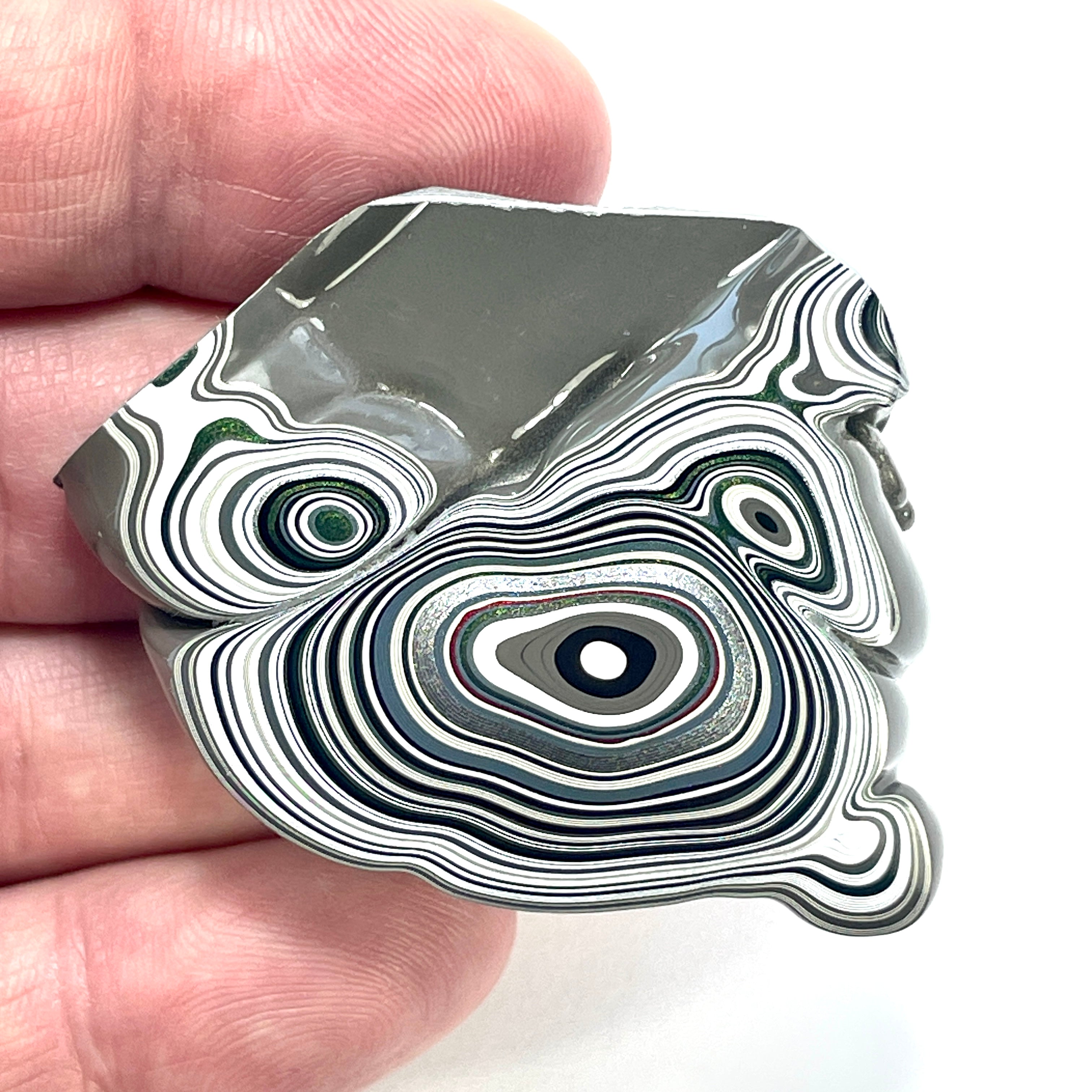 DVH Genuine Fordite Specimen Polished Face Michigan Chv Frd Jp (6526) - DVHdesigns