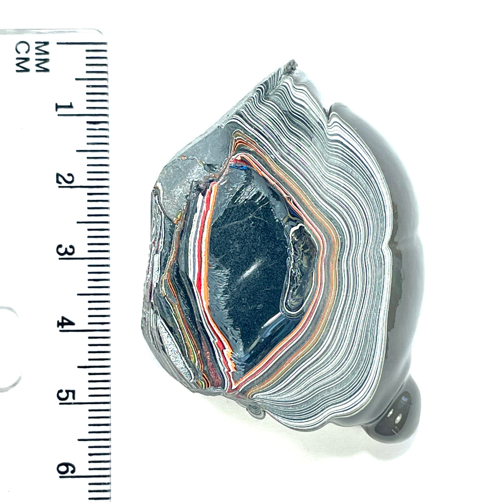 DVH Genuine Fordite Specimen Polished Face Michigan Chv Frd Jp (6526) - DVHdesigns