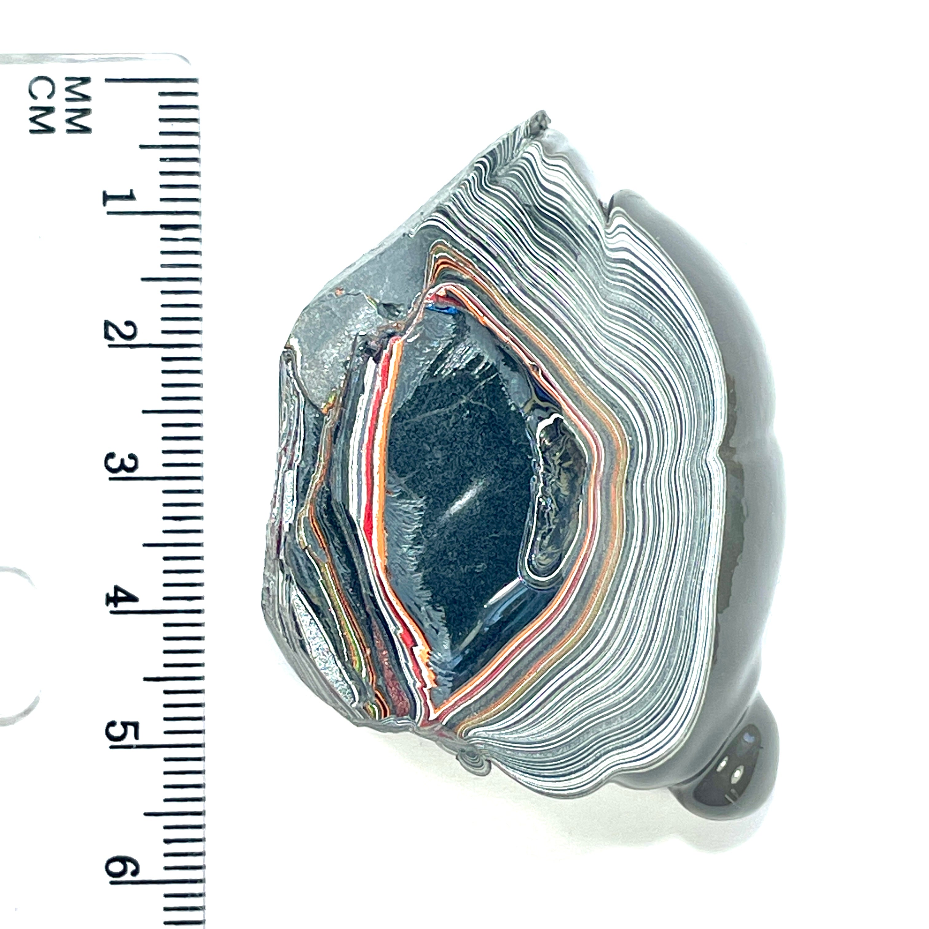 DVH Genuine Fordite Specimen Polished Face Michigan Chv Frd Jp (6526) - DVHdesigns