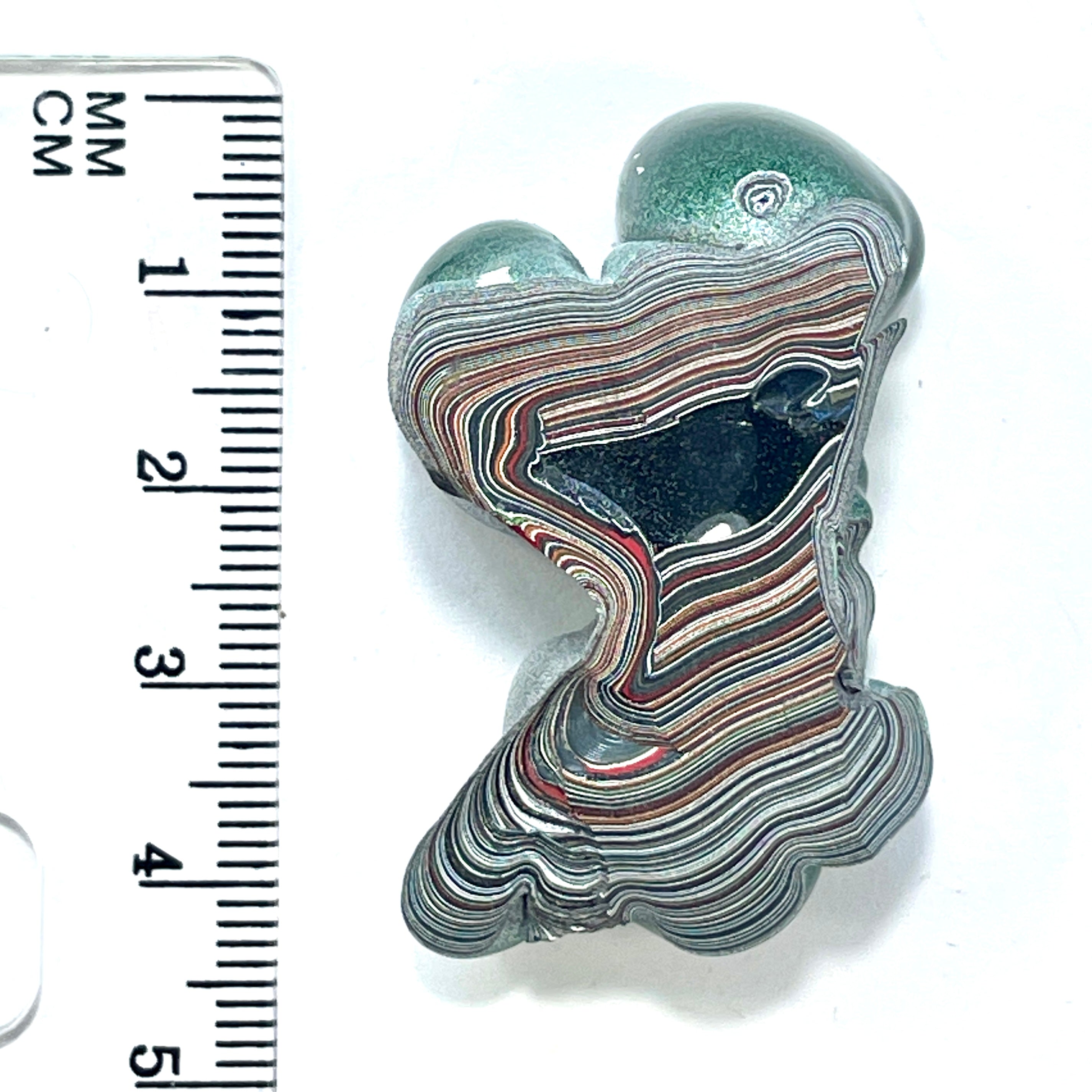 DVH Genuine Fordite Specimen Polished Face Michigan Chv Frd Jp (6533) - DVHdesigns