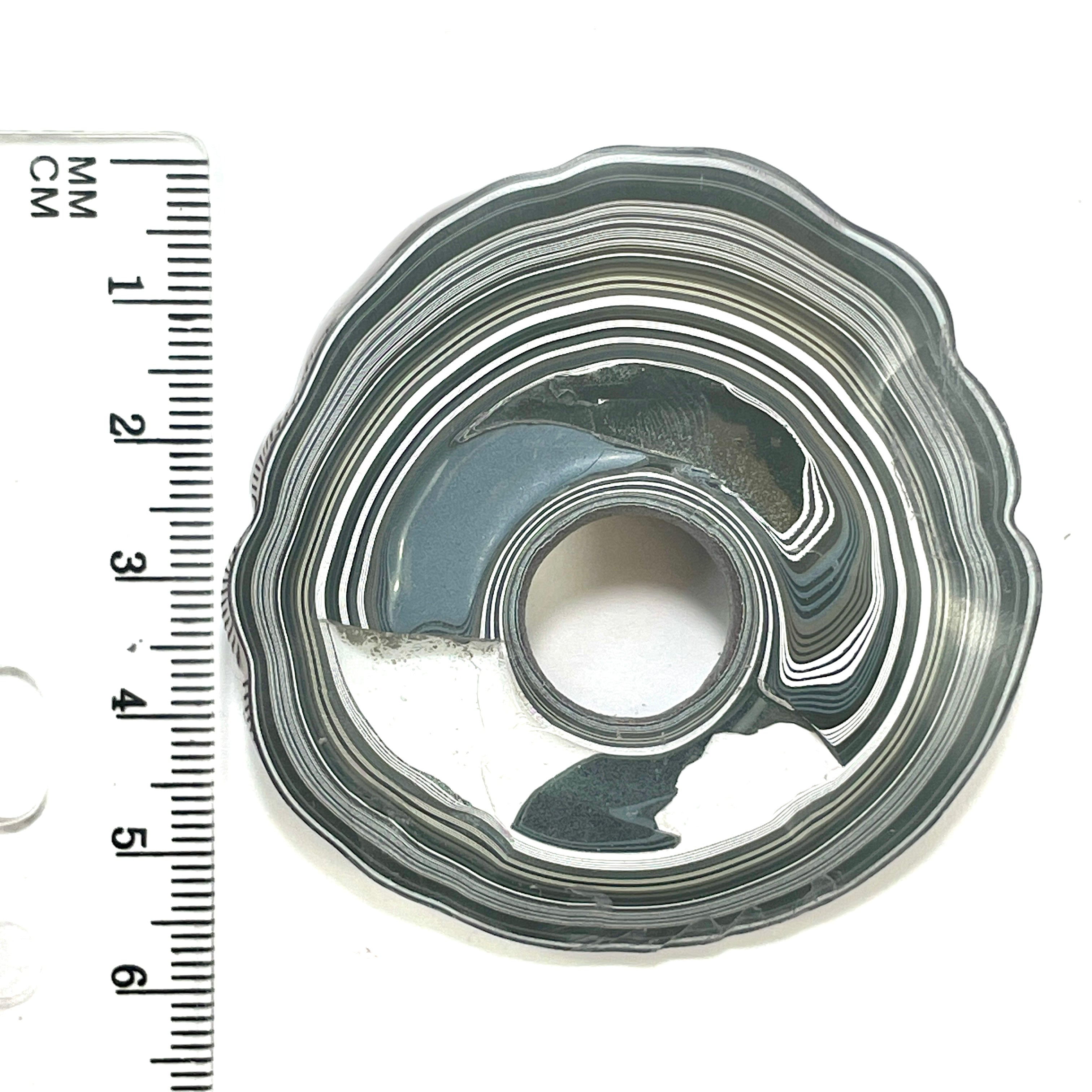 DVH Fordite Specimen Donut Buck Hole Polished Face Michigan Chv Frd Jp (6605) - DVHdesigns