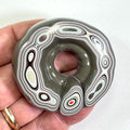 DVH Fordite Specimen Donut Buck Hole Polished Face Michigan Chv Frd Jp (6662) - DVHdesigns