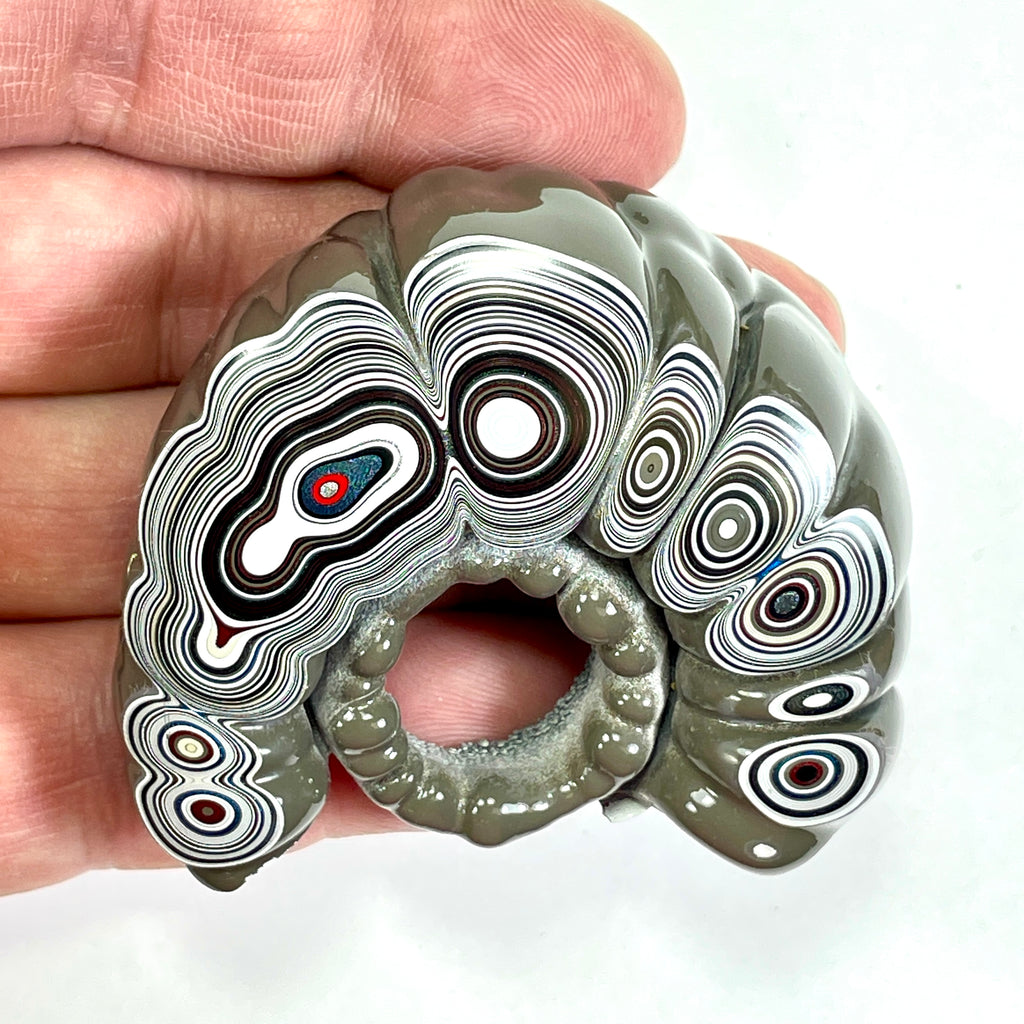 DVH Fordite Specimen Donut Buck Hole Polished Face Michigan Chv Frd Jp (6663) - DVHdesigns
